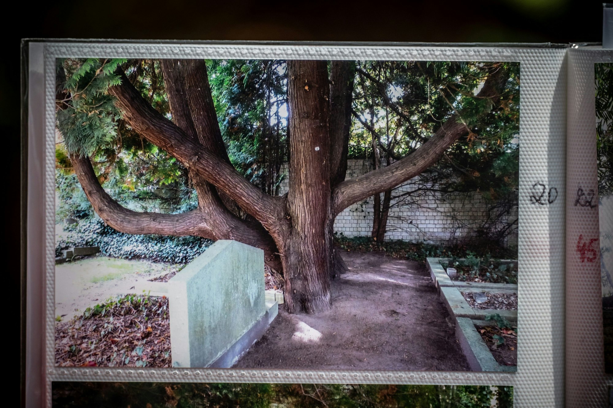Im Fotoalbum von Renate Kretschmer ist festgehalten, wie es mal aussah.
