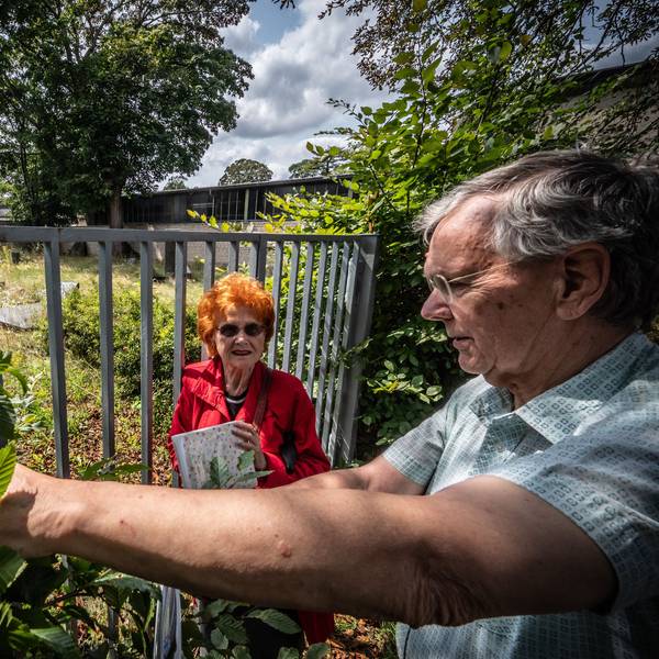 Renate Kretschmer und Günter Junkers beklagen den Zustand des jüdischen Friedhofs an der Robert-Blum-Straße, der seit ein paar Jahren zu verwahrlosen drohe.