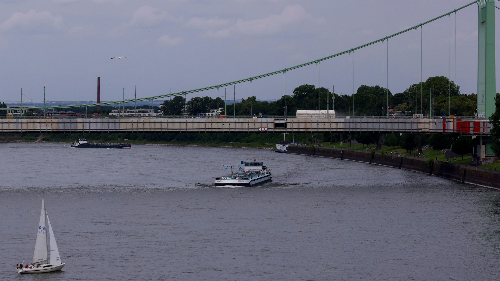 Der Rhein mit Schiffen und der Mülheimer Brücke ist zu sehen.