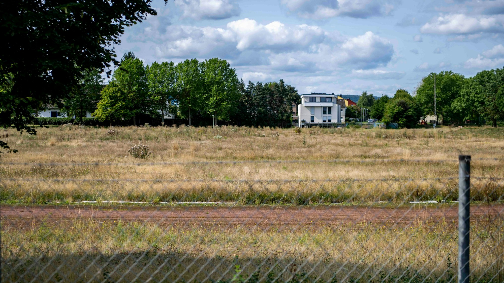 Das Bild zeigt ein hoch mit Gras bewachsenes Gelände hinter einem Maschendrahtzaun, im Hintergrund Wohnhäuser und Bäume.