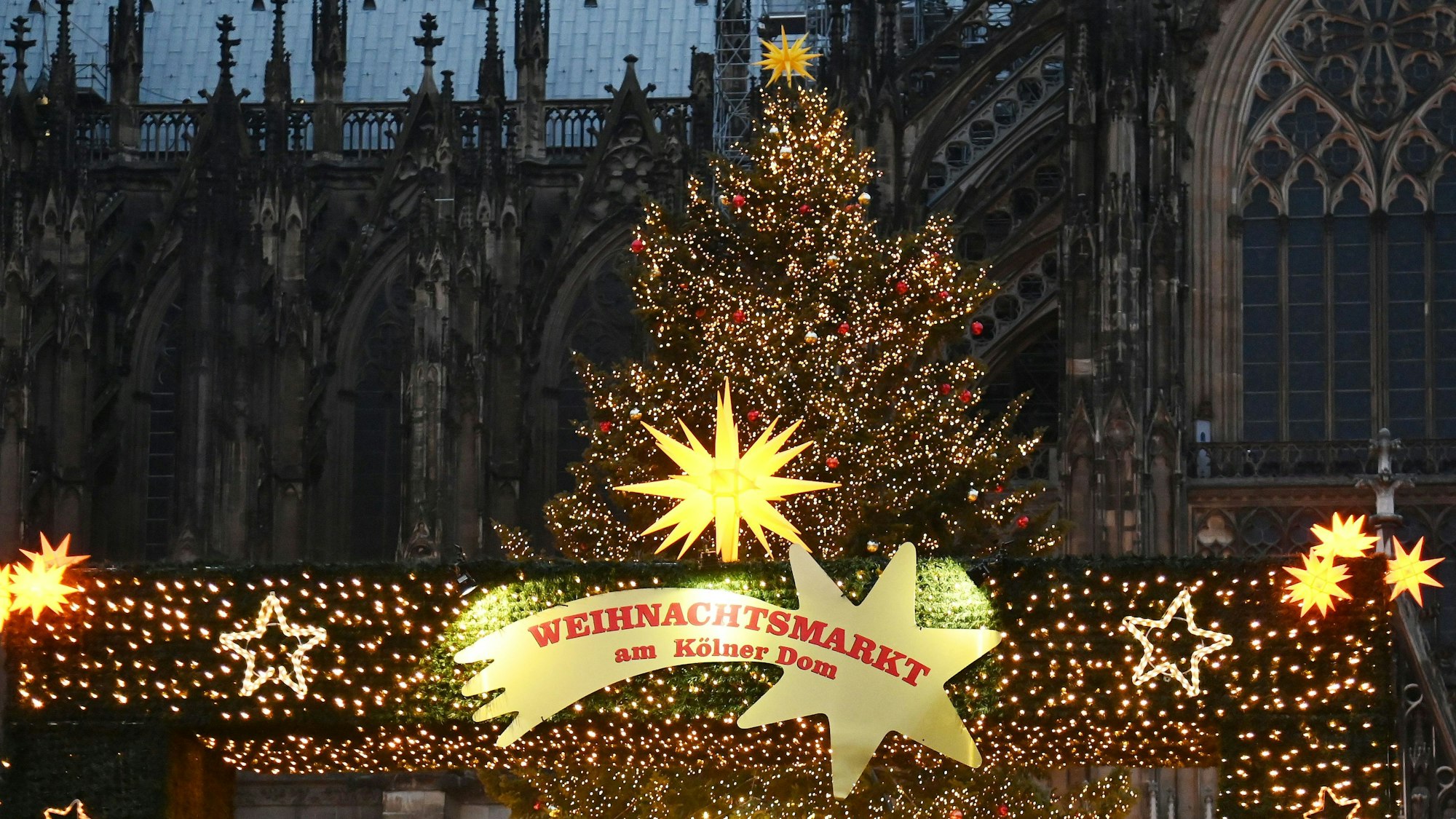 12.12.2024 Köln. Weihnachtsbäume in der Stadt. Weihnachtsmarkt am Dom. Foto: Alexander Schwaiger