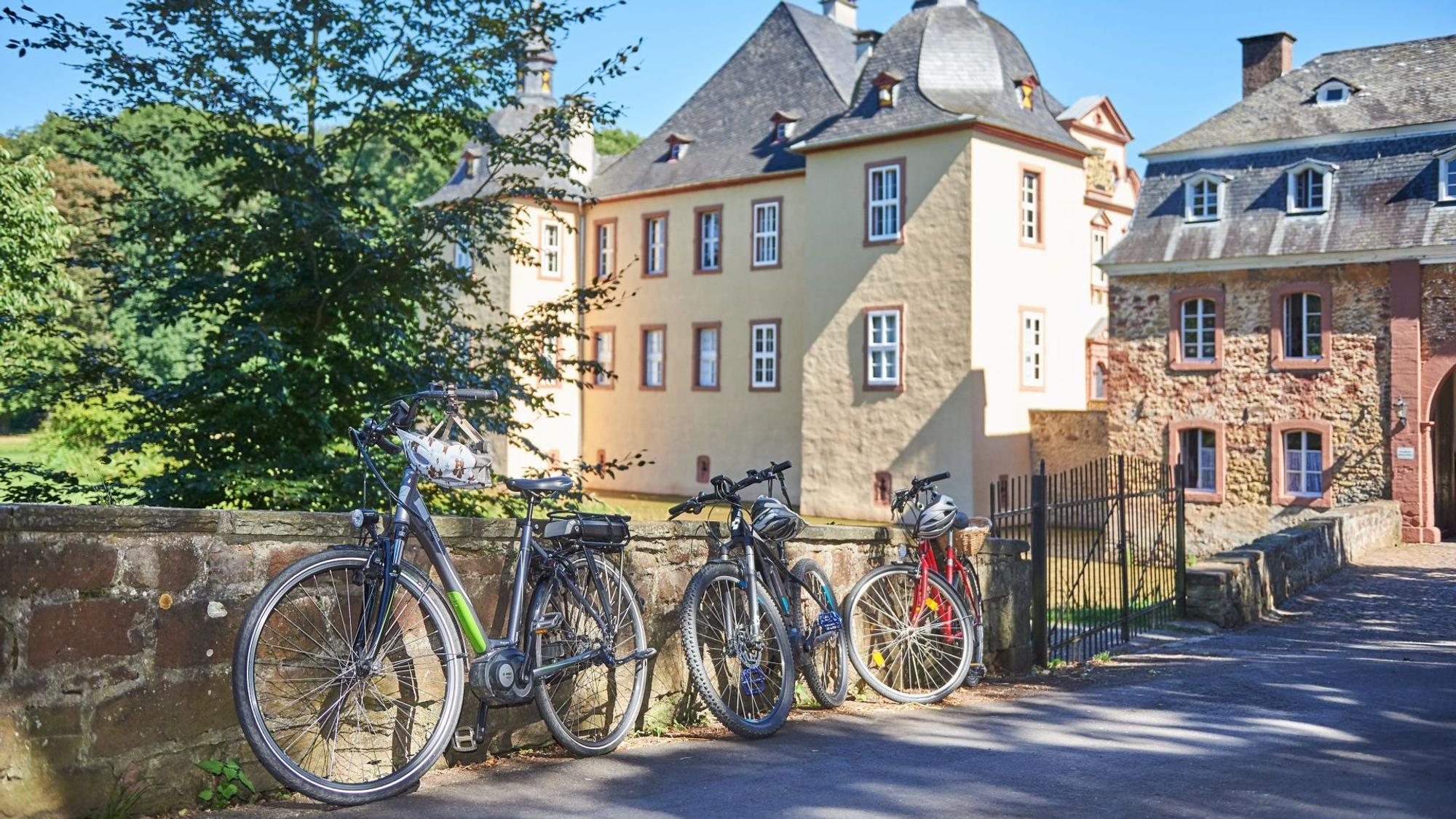 Das Schloss Eicks lässt sich auf der Etappe 7a von Heimbach nach Rheinbach bestaunen. (Archivbild)