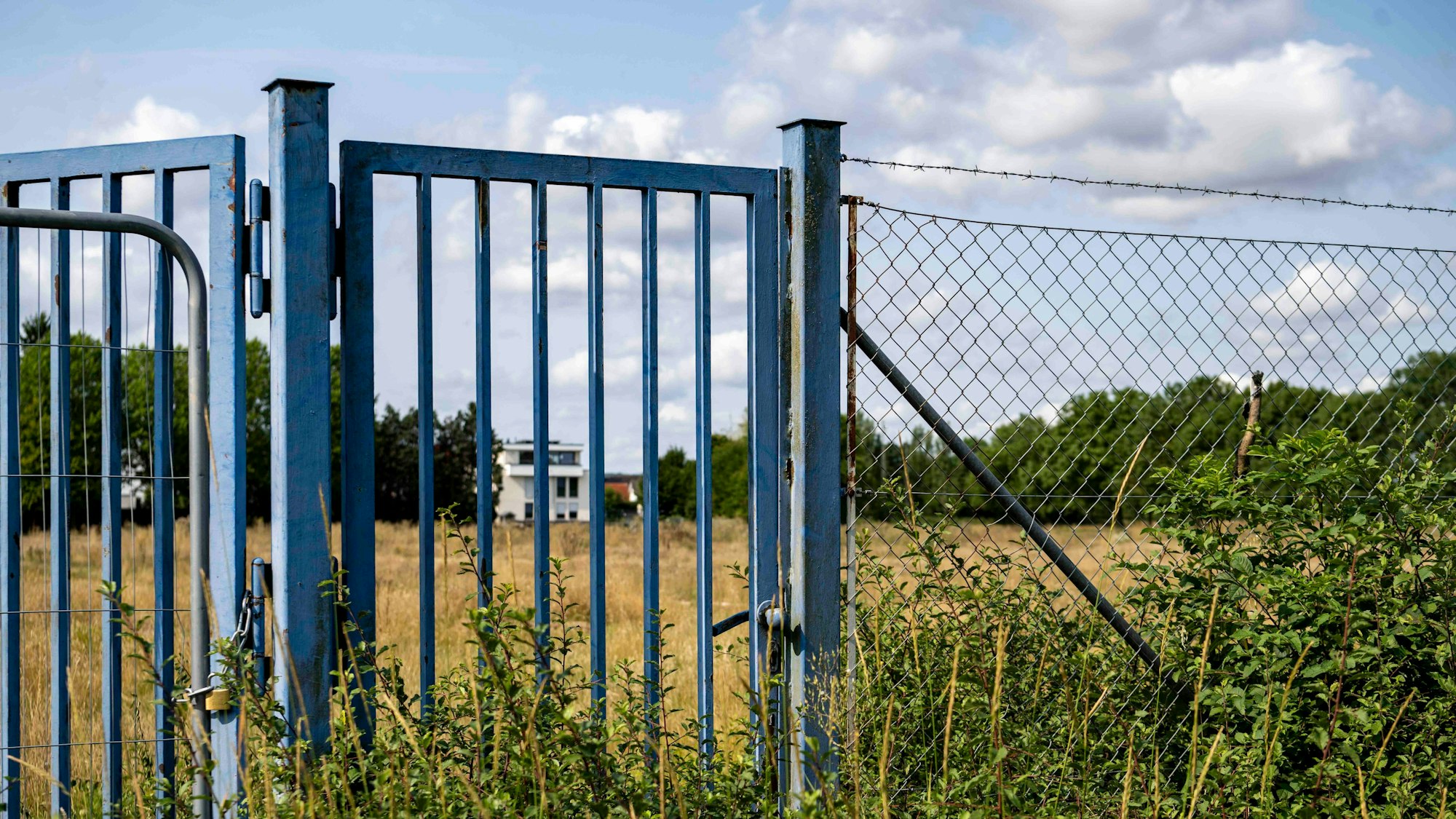 Das Bild zeigt einen Zaun mit Tor, das halb zugewachsen ist.