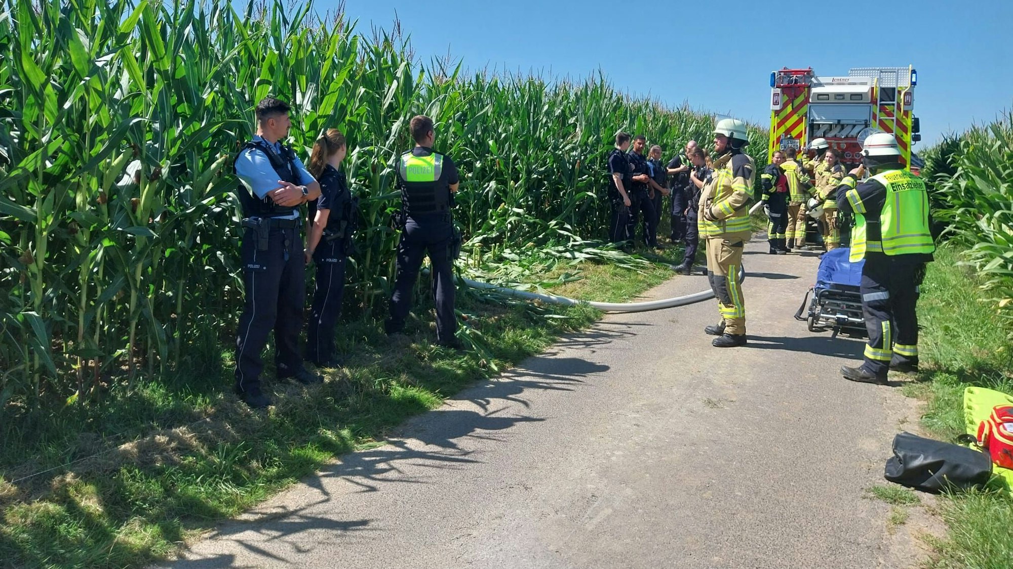 Feuerwehr und Polizeikräfte am Absturzort im Maisfeld bei Lohmar Algert.