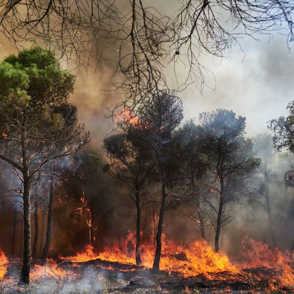 Ein Wald brennt im spanischen Carcastillo. (Archivbild)