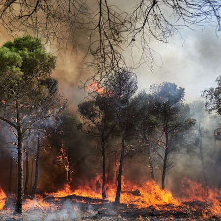 Ein Wald brennt im spanischen Carcastillo. (Archivbild)