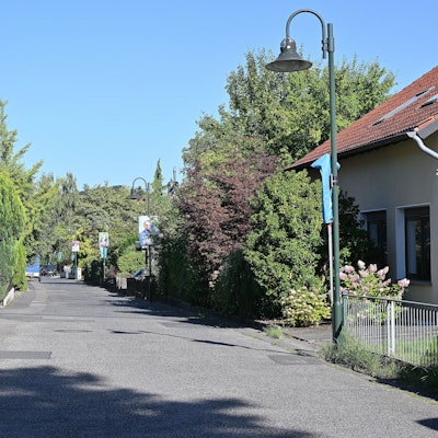 Eine Straße, am Rand, freistehende Häuser mit grünen Vorgärten.