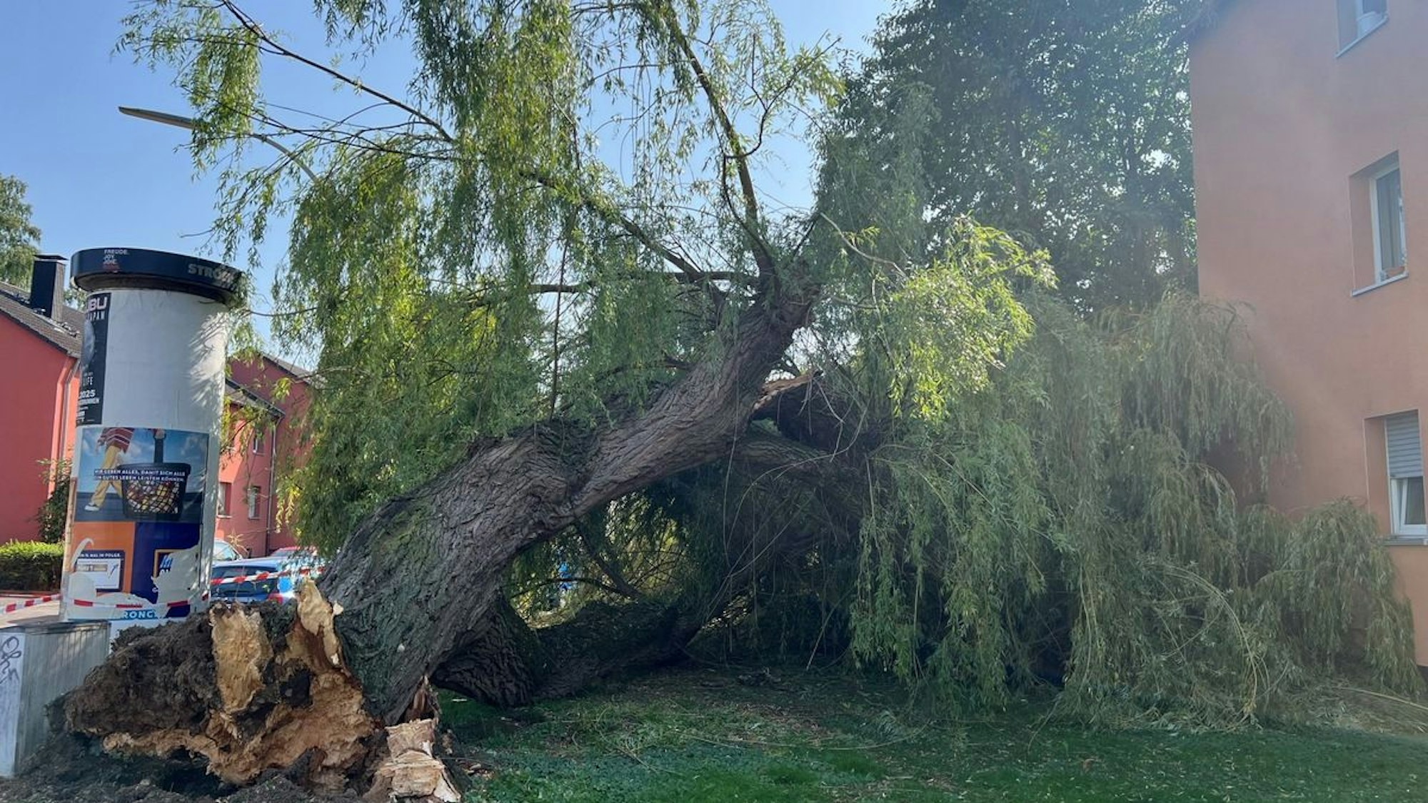 Ein großer Baumstamm liegt neben einem Wohnhaus.