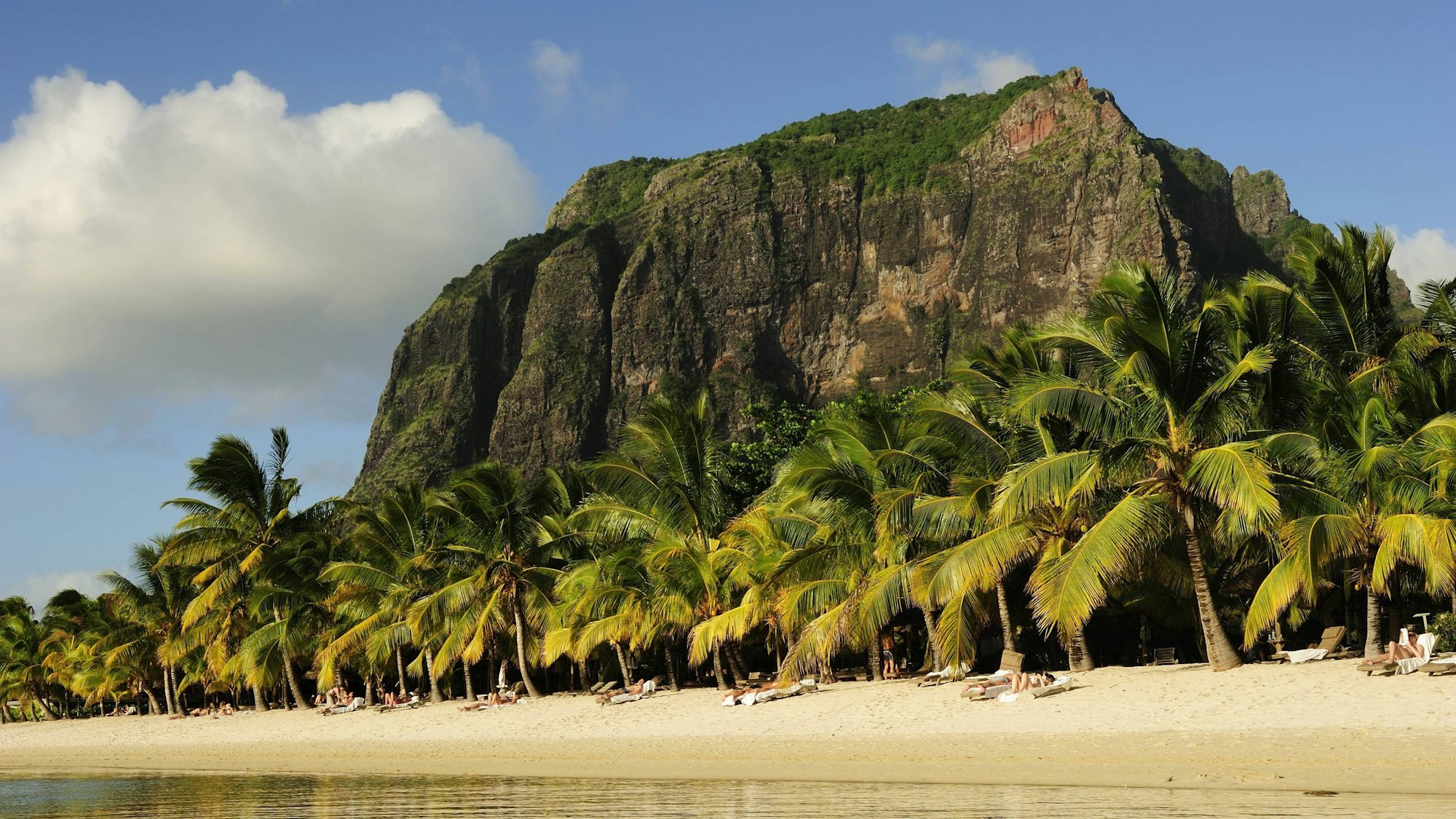 Der Berg Le Morne Brabant ragt hinter den Palmen am Sandstrand hervor.