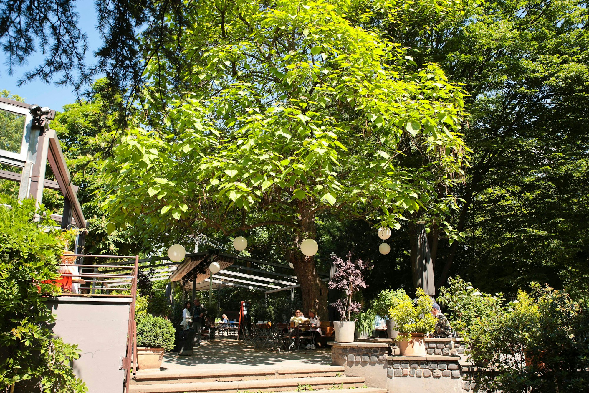 19.05.2025, Köln: Biergarten im Stadtgarten.Foto:Dirk Borm