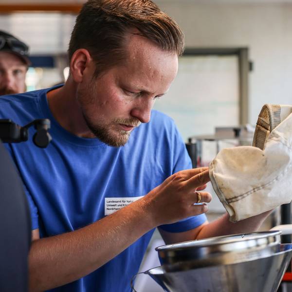 Ein Mitarbeiter des Landesamtes für Natur, Umwelt und Klima (LANUK), begutachtet auf dem Laborschiff Max Prüss eine Wasserprobe. Foto: Oliver Berg/dpa