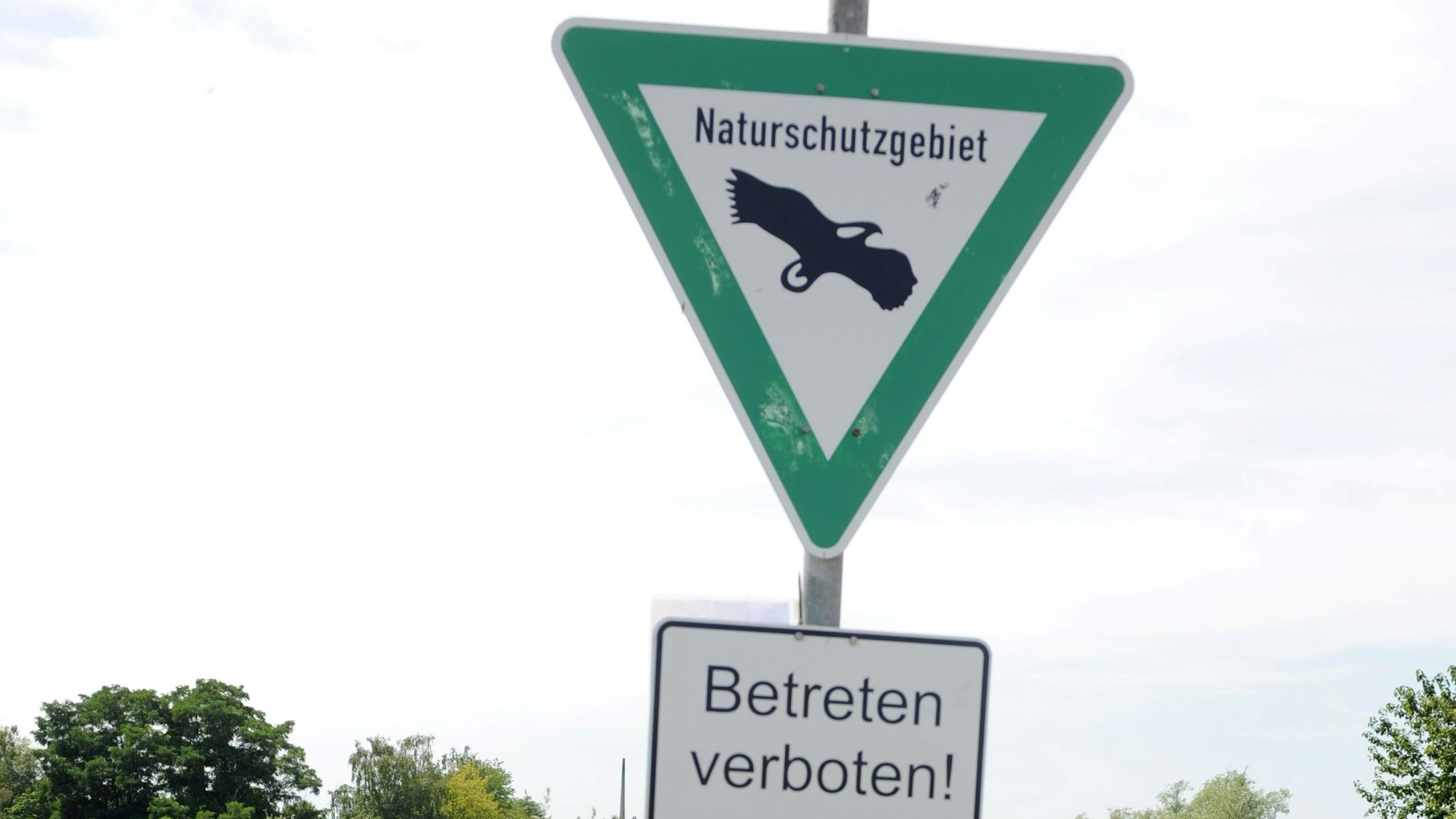 Schutzzäune und Schilder, die auf das Naturschutzgebiet hinweisen, werden oft zerstört. (Archivbild)