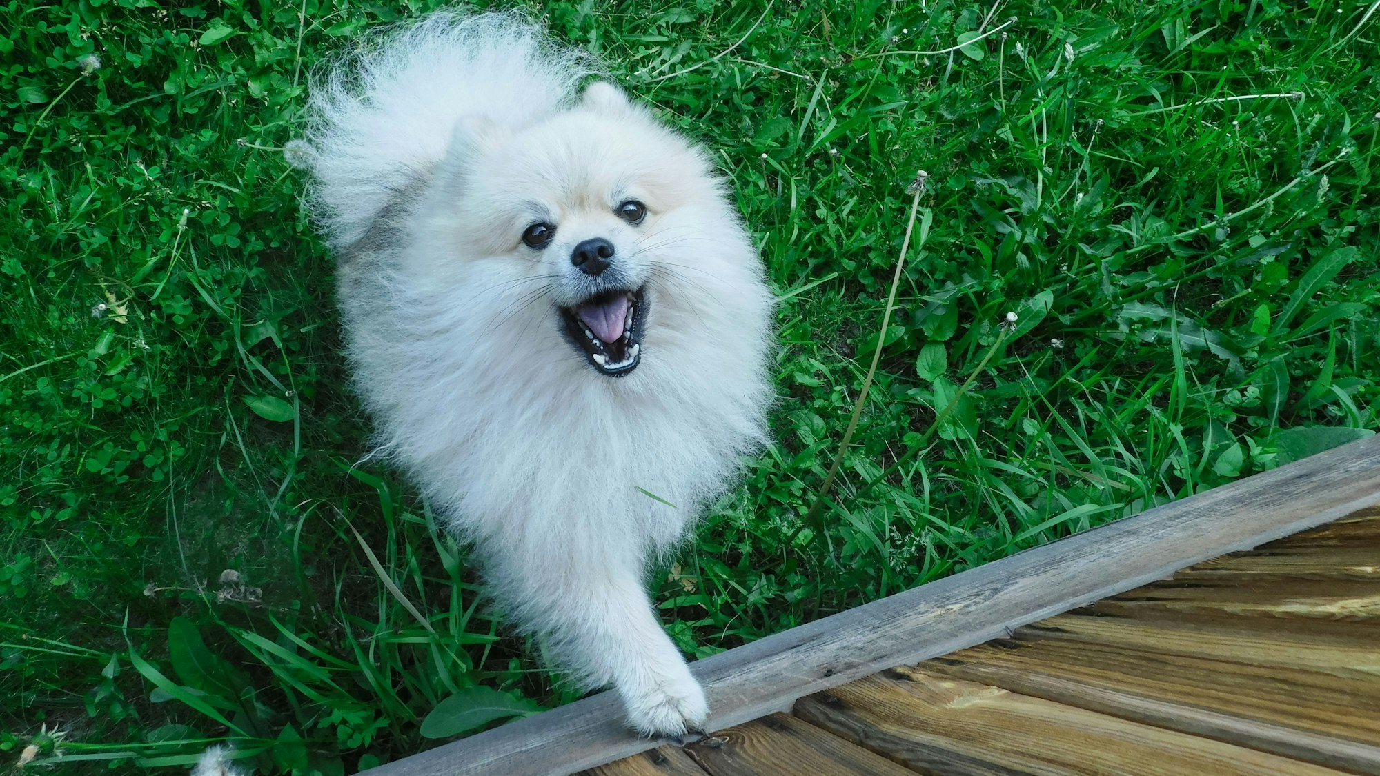 Zwei Freundinnen waren über einen Zwerspitz in Streit geraten.IMAGO/Pond5 Images