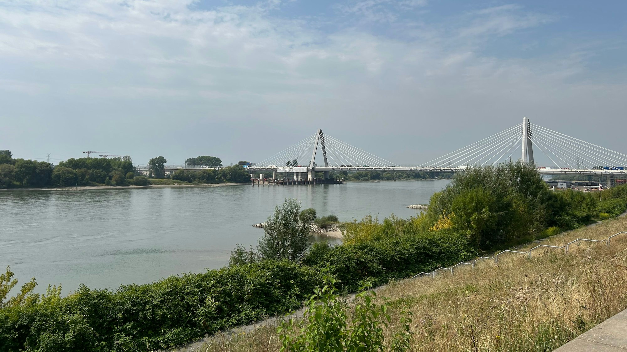 Die Feuerwehr Leverkusen sucht derzeit nach einer Person im Rhein in Hitdorf.