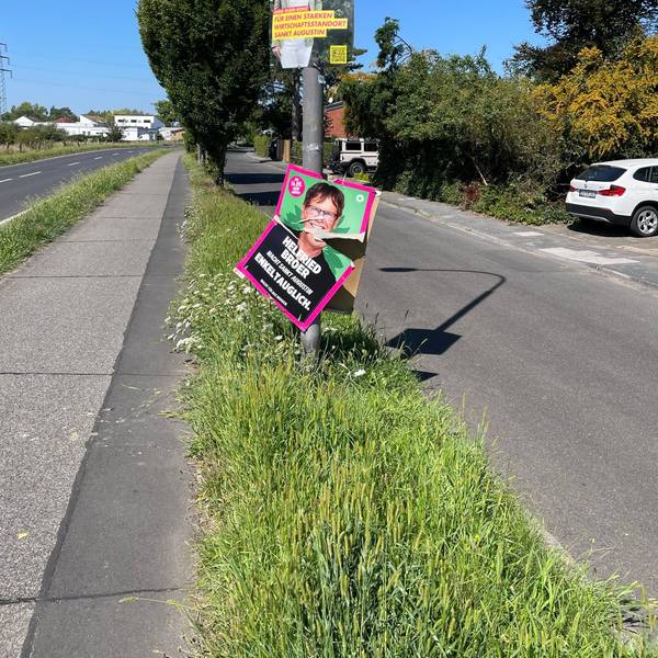 Mehr als 30 Wahlplakate der Grünen in Hangelar wurden zerstört, auch nachdem sie wieder ersetzt wurden.