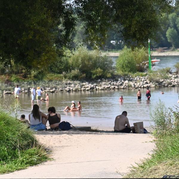 13.08.2025 Köln. Wetter, Feature: Sommer. Derzeit ist es heiß und sonnig. Auch an den Sandstränden des Rheins, der Rodenkirchener Riviera, suchen die Menschen Abkühlung im Wasser. Baden und Schwimmen im Rhein ist dort lebensgefährlich. Das Achtung Lebensgefahr-Schild. Foto: Alexander Schwaiger