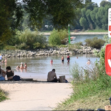 13.08.2025 Köln. Wetter, Feature: Sommer. Derzeit ist es heiß und sonnig. Auch an den Sandstränden des Rheins, der Rodenkirchener Riviera, suchen die Menschen Abkühlung im Wasser. Baden und Schwimmen im Rhein ist dort lebensgefährlich. Das Achtung Lebensgefahr-Schild. Foto: Alexander Schwaiger