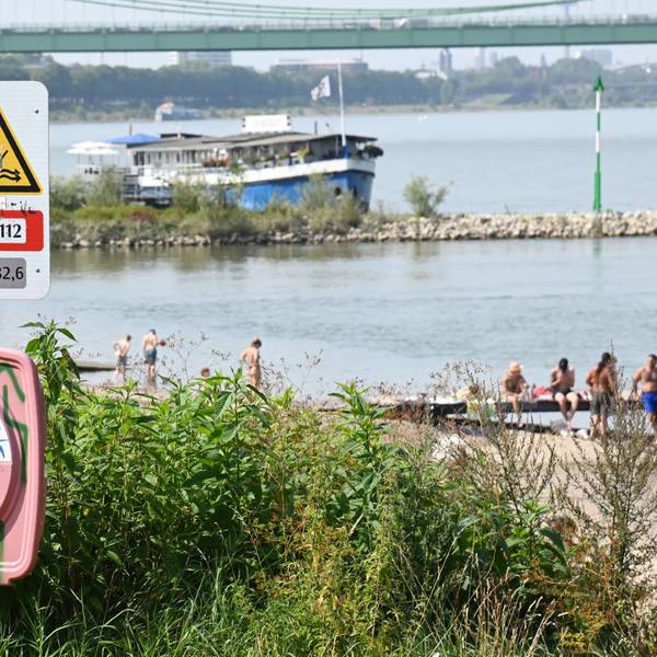An der Rodenkirchener Riviera weist ein Schild auf die Gefahren beim Baden im Rhein hin.