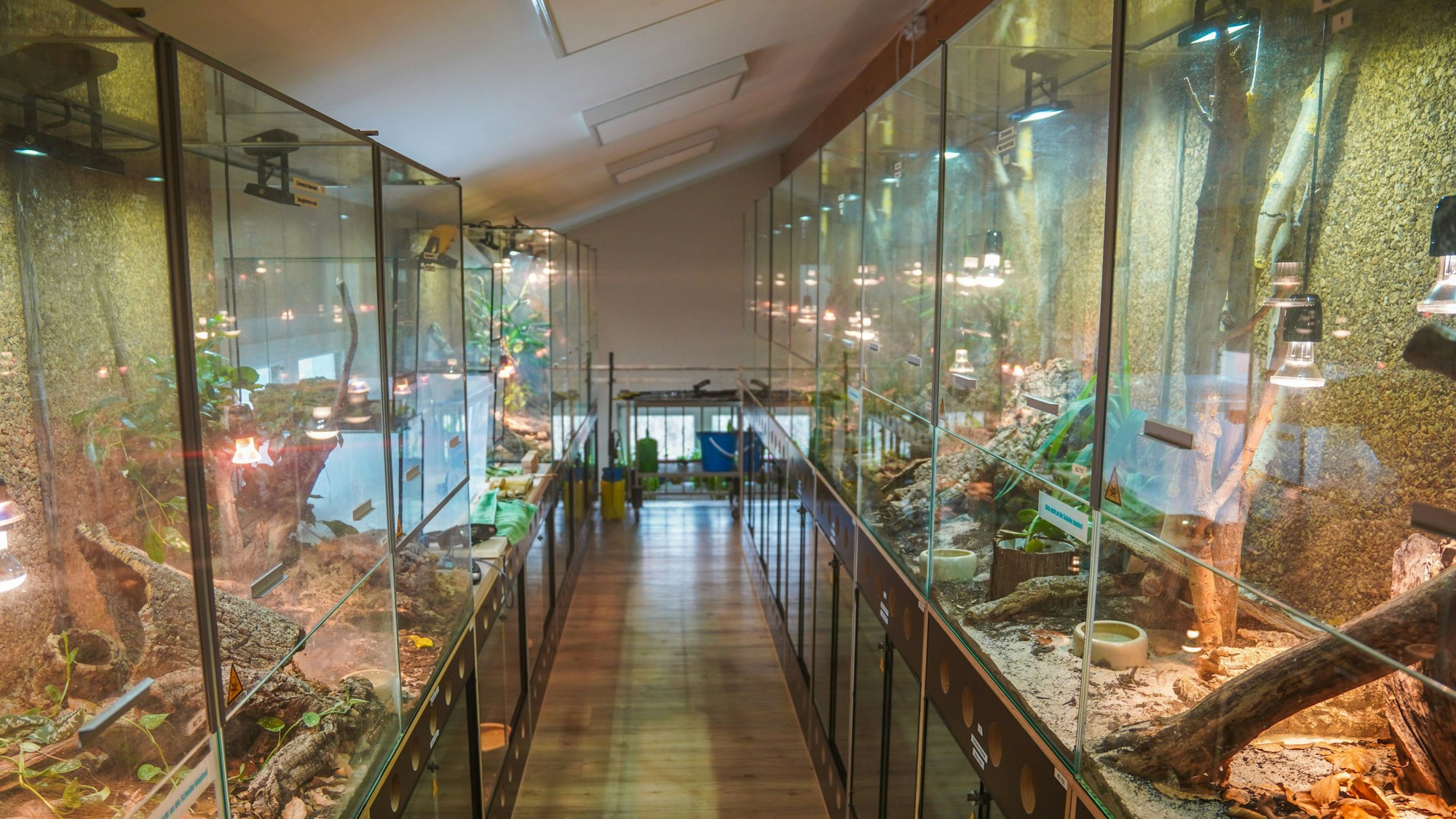 Einer der Terrarien-Gänge in der Auffangstation.