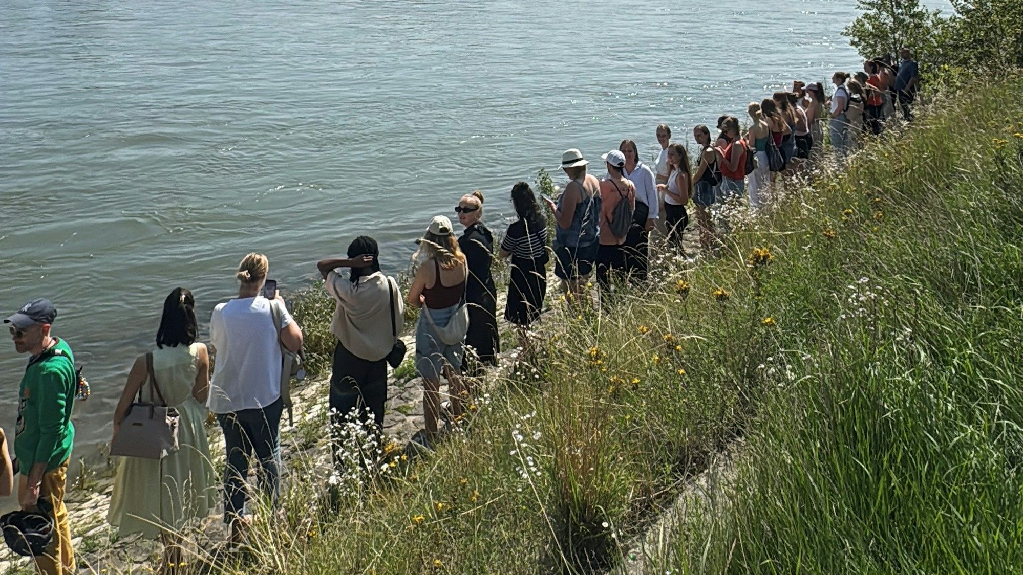 Menschen stehen am Rhein nebeneinander in einer Reihe.