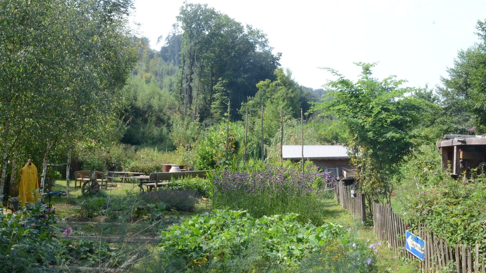 Seit fünf Jahren gibt es die Dorfwiese in Neuhonrath; "ein Garten für Gemeinschaft eher als ein Gemeinschaftsgarten", sagt die Initiatorin Caro Schulte-Bisping