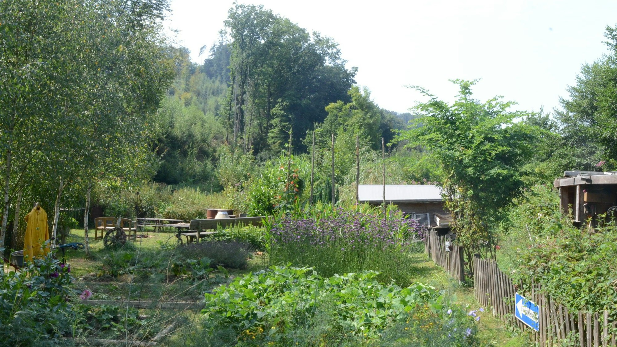 Seit fünf Jahren gibt es die Dorfwiese in Neuhonrath; "ein Garten für Gemeinschaft eher als ein Gemeinschaftsgarten", sagt die Initiatorin Caro Schulte-Bisping