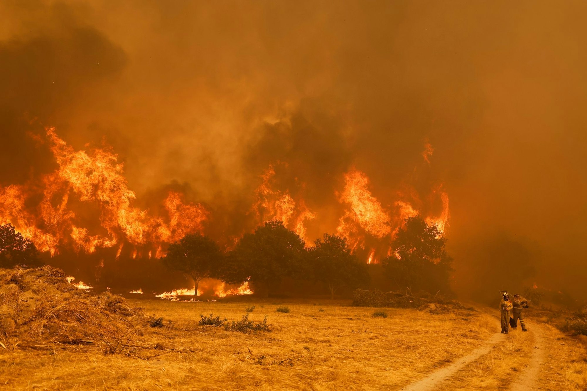 Die Brandbekämpfer sehen sich teilweise mit riesigen Feuerwänden konfrontiert, die durch stürmische Winde jederzeit schnell die Richtung ändern können.