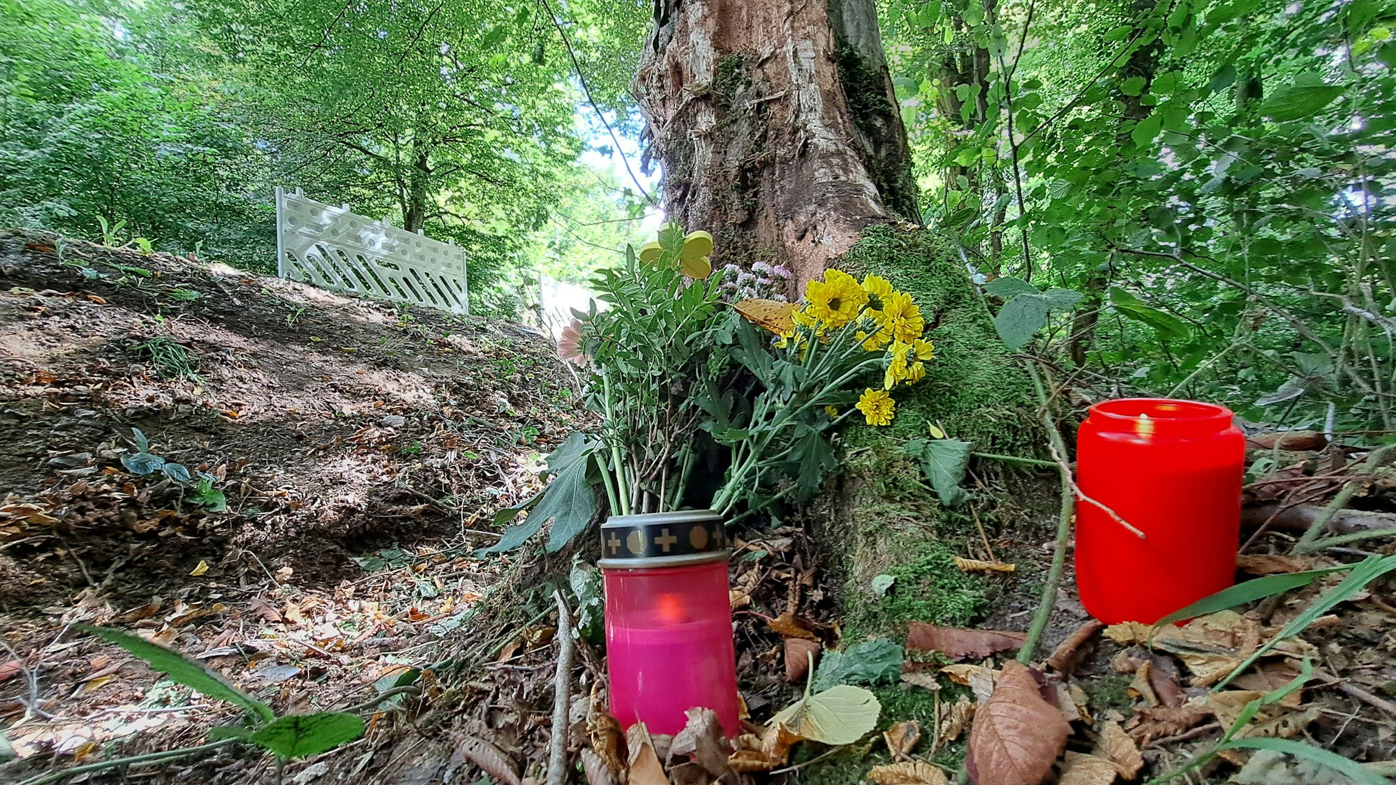An einem Baum unterhalb der Dürschtalstraß liegen Kerzen und Blumen. An dem Baum starben in der Nacht zu Samstag (16.8.) vier jungen Menschen bei einem Autounfall.