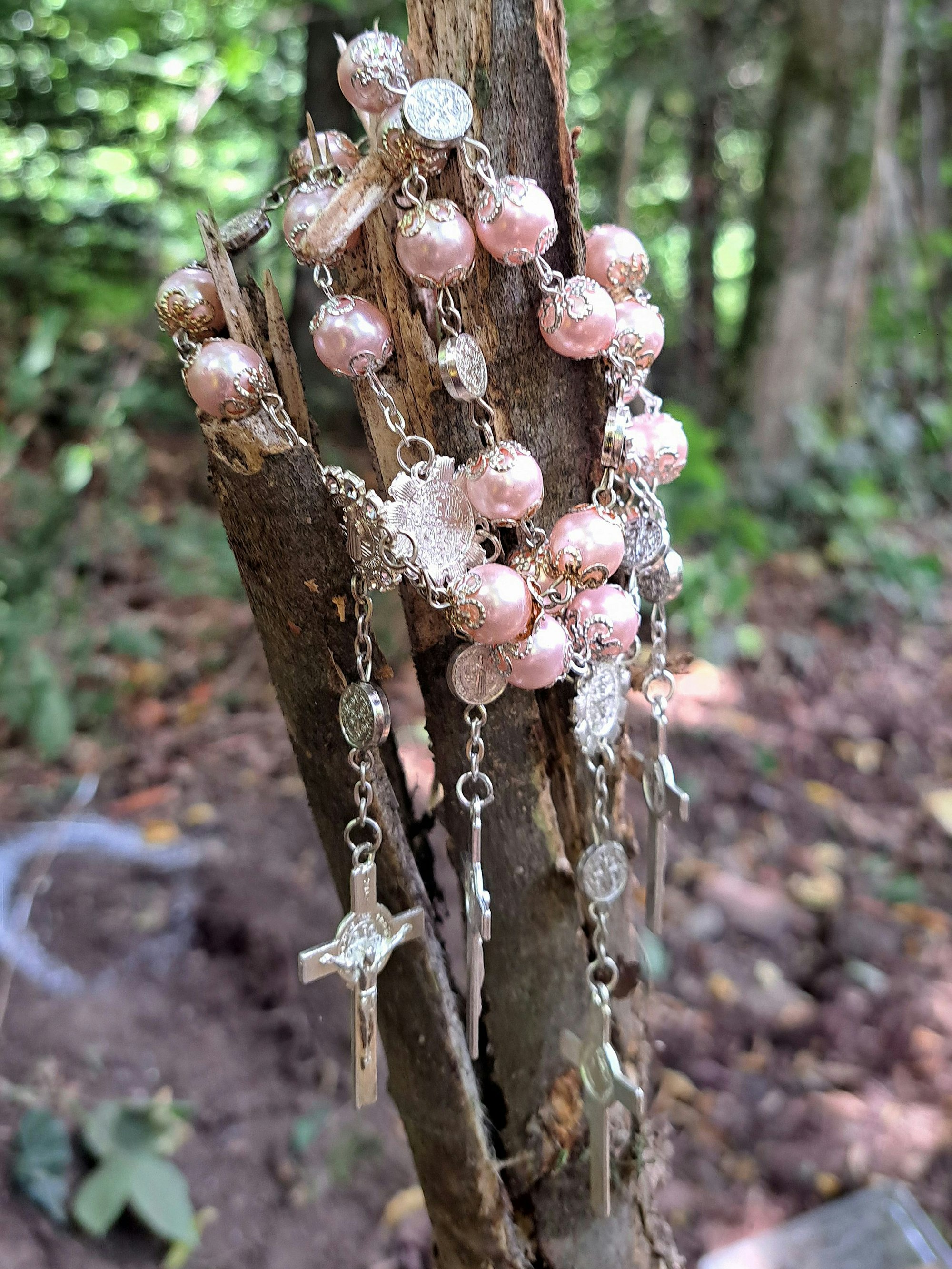 Ketten mit vier Kreuzen hängen an einem geborstenen Ast.