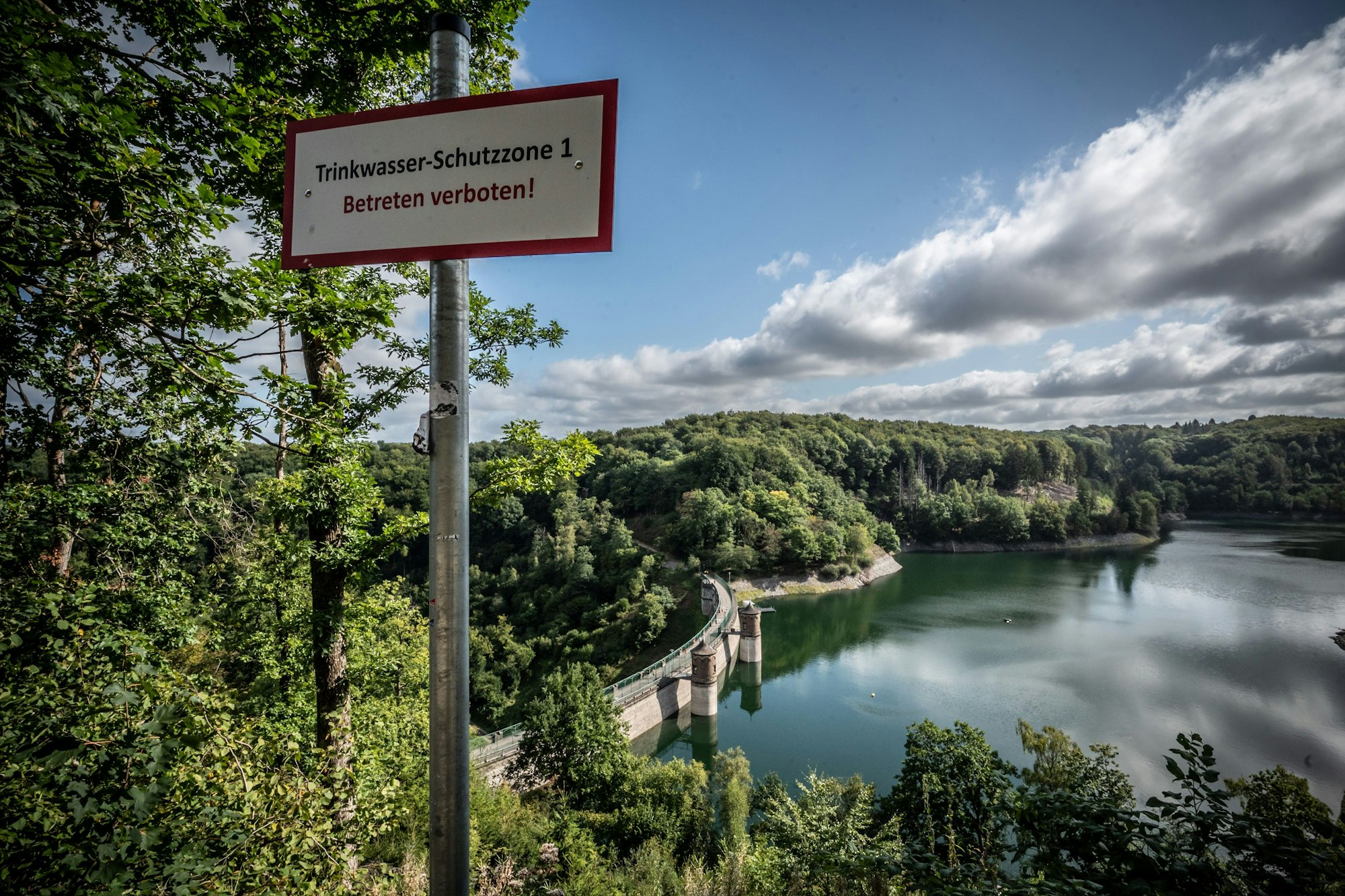 Sengbachlauf TV Witzhelden, rund um die Sengbachtalsperre Bild: Ralf Krieger