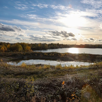 21.11.2022
Köln:
Kiesgrube Buschbergsee in Leverkusen-Hitdorf  zum Themas Artenschutz/-sterben
Foto: Martina Goyert