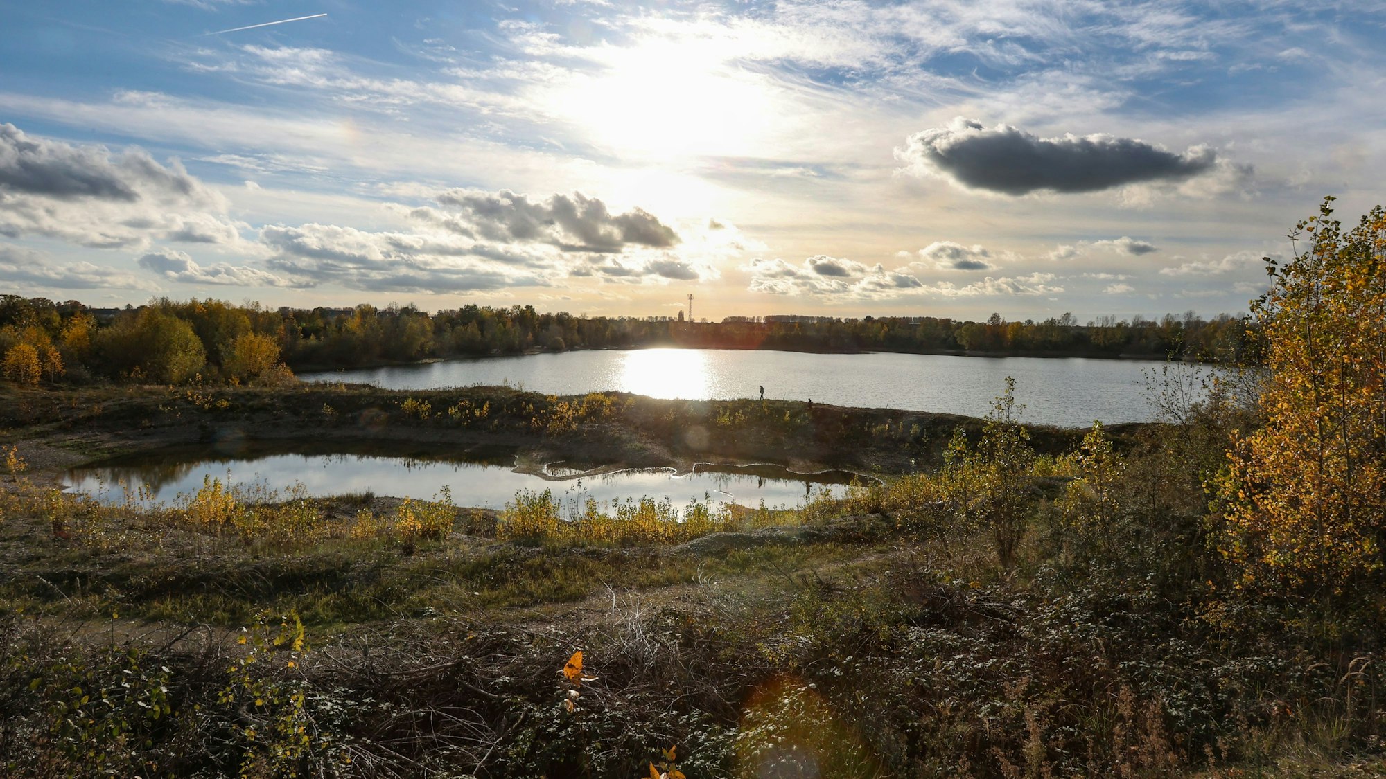 21.11.2022
Köln:
Kiesgrube Buschbergsee in Leverkusen-Hitdorf zum Themas Artenschutz/-sterben
Foto: Martina Goyert
