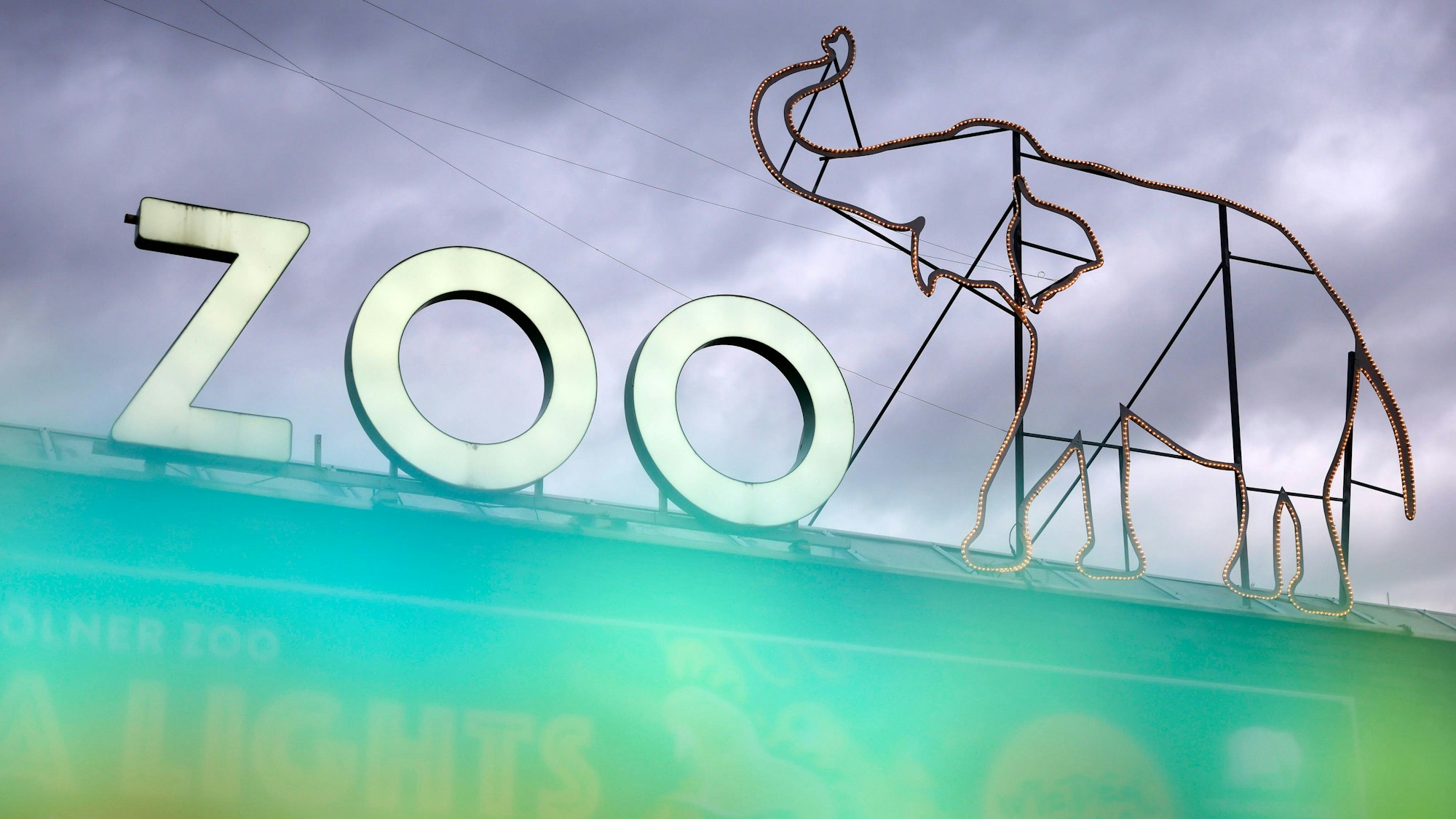 Der Zoologische Garten Köln im nördlichen Stadtteil Riehl wurde im Jahre 1860 gegründet und gilt unter den heute in Deutschland vorhandenen Tiergärten als drittältester Zoo. Wegen mehrere Fälle von Vogelgrippe wurde der Tierpark bis auf weiteres geschlossen. Themenbild, Symbolbild 13.02.2024 NRW Deutschland *** The Cologne Zoological Garden in the northern district of Riehl was founded in 1860 and is the third oldest zoo in Germany today Due to several cases of bird flu, the zoo has been closed until further notice Themed image, symbolic image 13 02 2024 NRW Germany Copyright: xChristophxHardtx