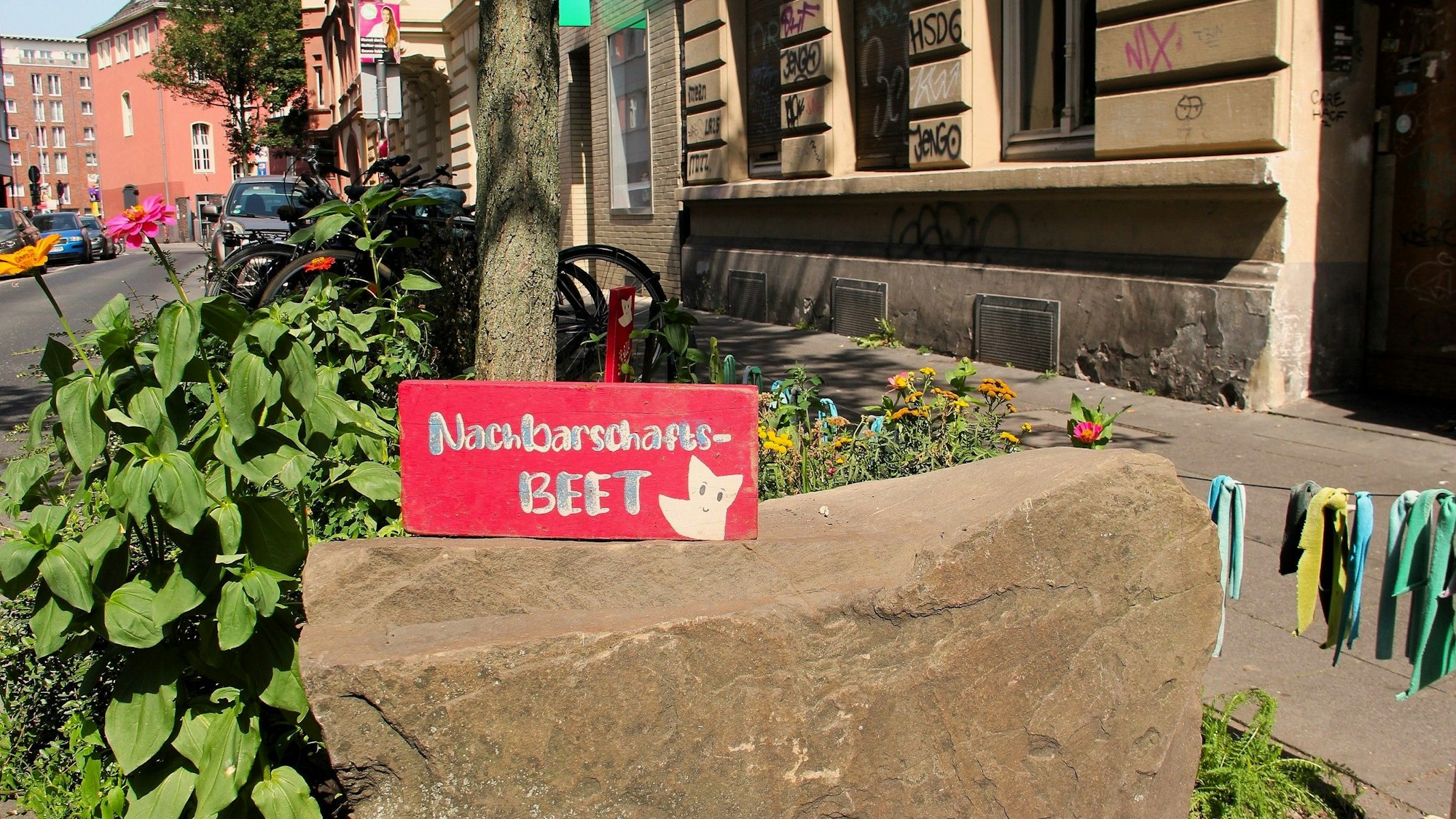 Ein Nachbarschaftsbeet nahe der Trimbornstraße