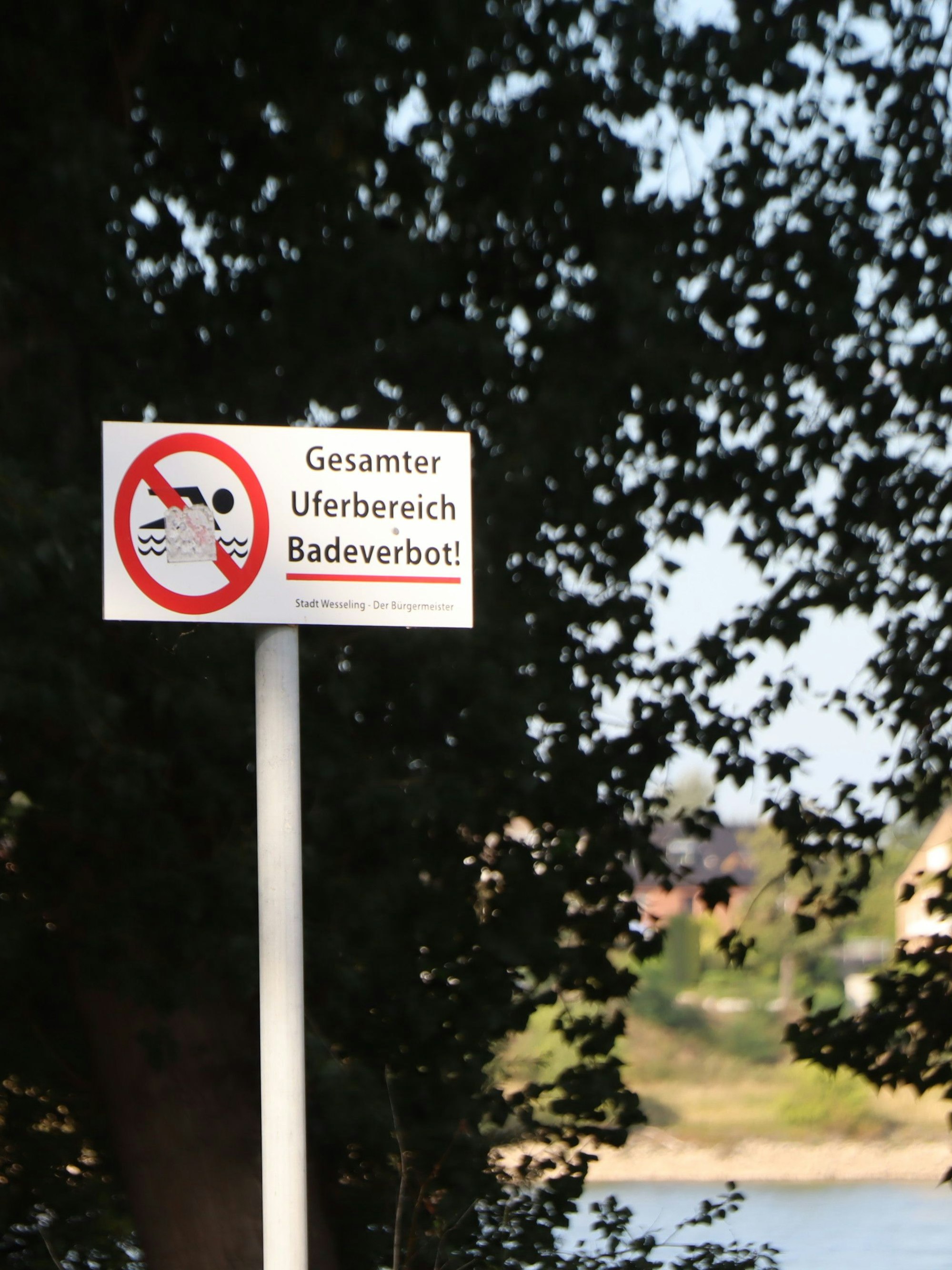 Das Bild zeigt ein Schild am Rheinufer bei Wesseling, das auf ein Badeverbot im Fluss verweist.