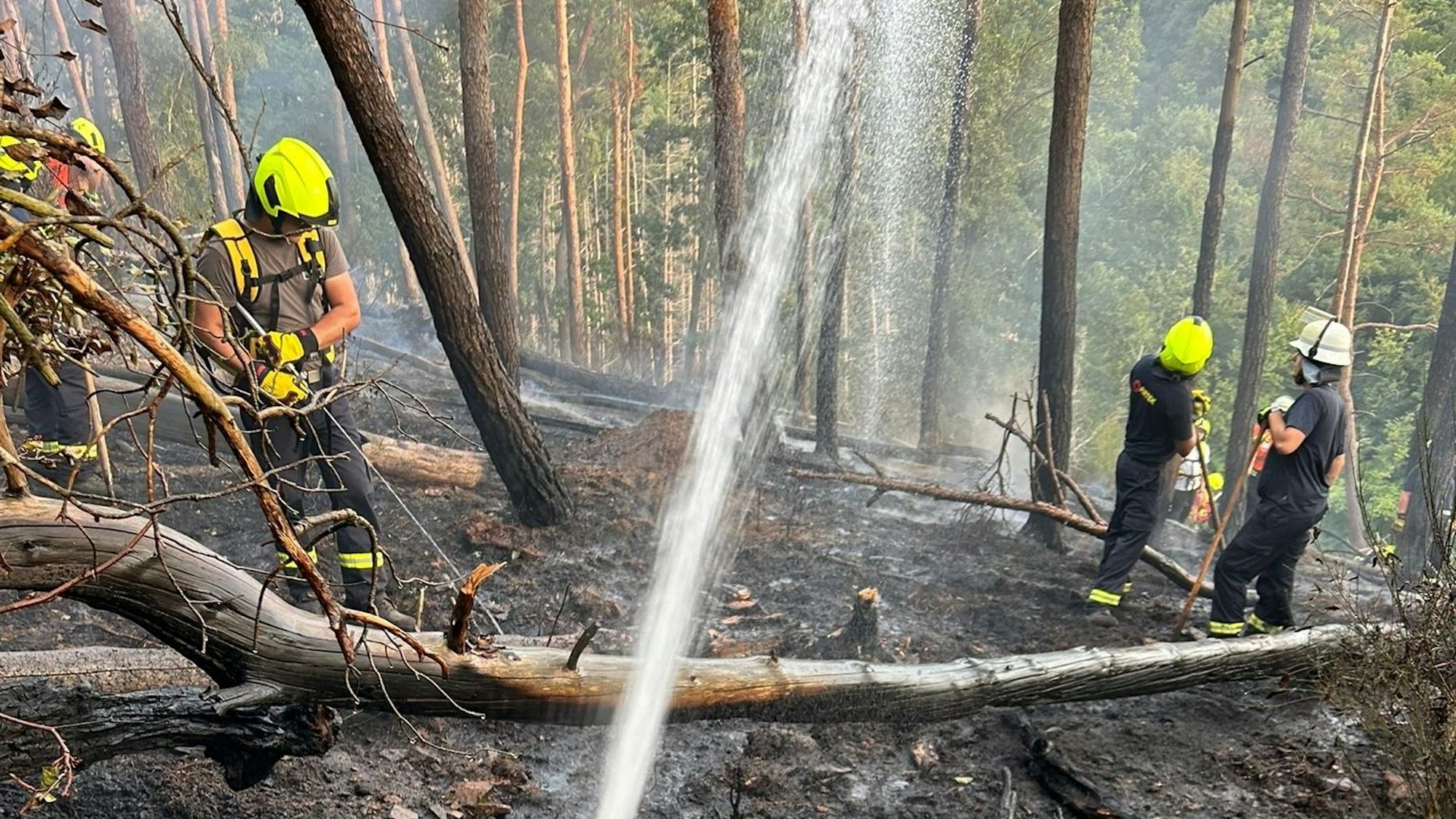 Feuerwehrleute stehen bei der Waldbrandbekämpfung im Nationalpark Eifel in einem Steilhang.