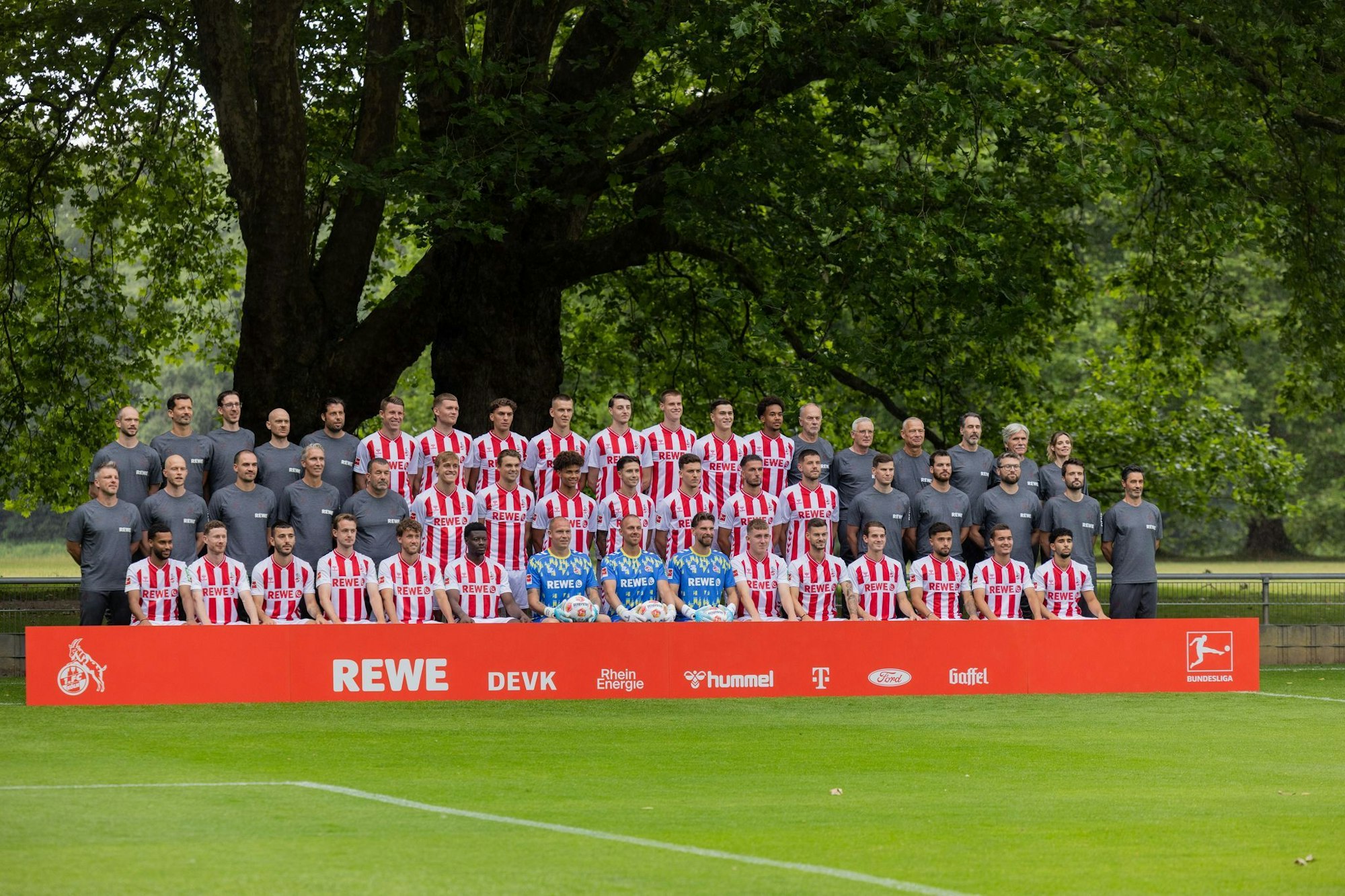 Mit bisher 12 Abgängen und 15 neuen Spielern hat sich der Kölner Kader im Sommer stark verändert.