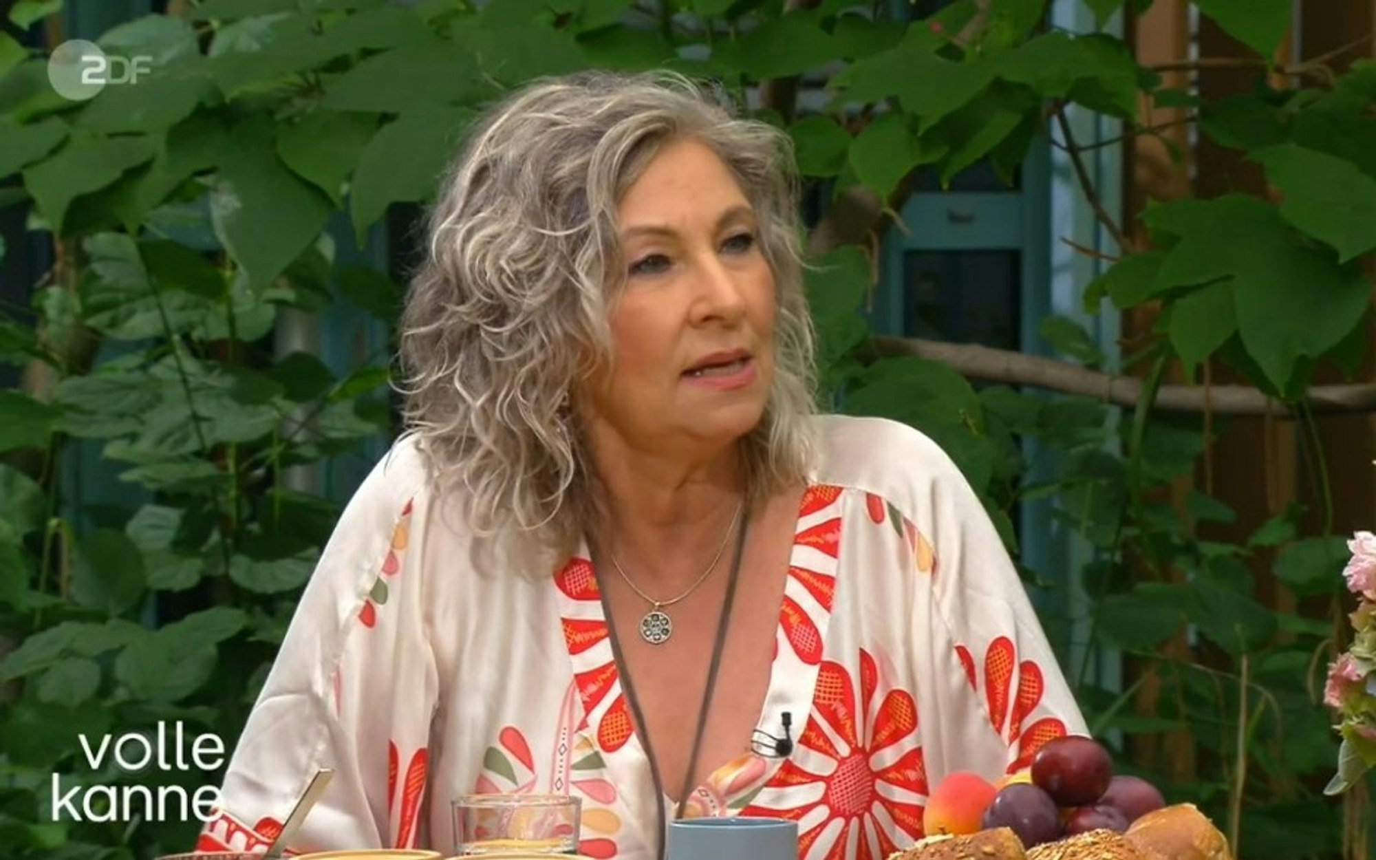 Schlagersängerin Claudia Jung berichtete im ZDF bei „Volle Kanne“ von einer skurrilen Begegnung in ihrem Hotelzimmer. (Bild: ZDF)