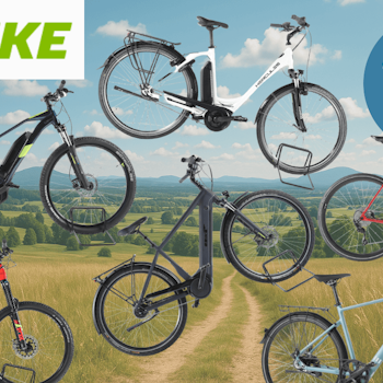 Anordnung verschiedener Rebike Fahrräder vor einem sommerlichen Hintergrund.