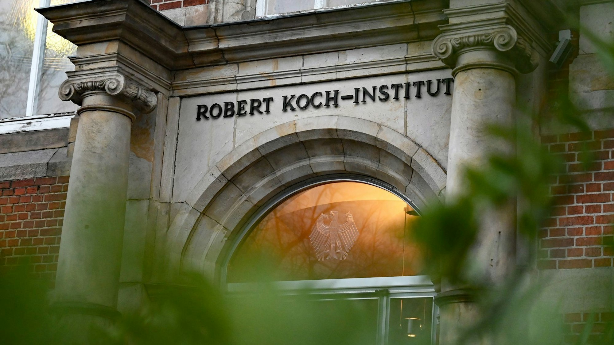 Das Robert Koch-Institut hat neue Zahlen zu Todesfällen durch antibiotikaresistente Erreger veröffentlicht. (Archivbild)