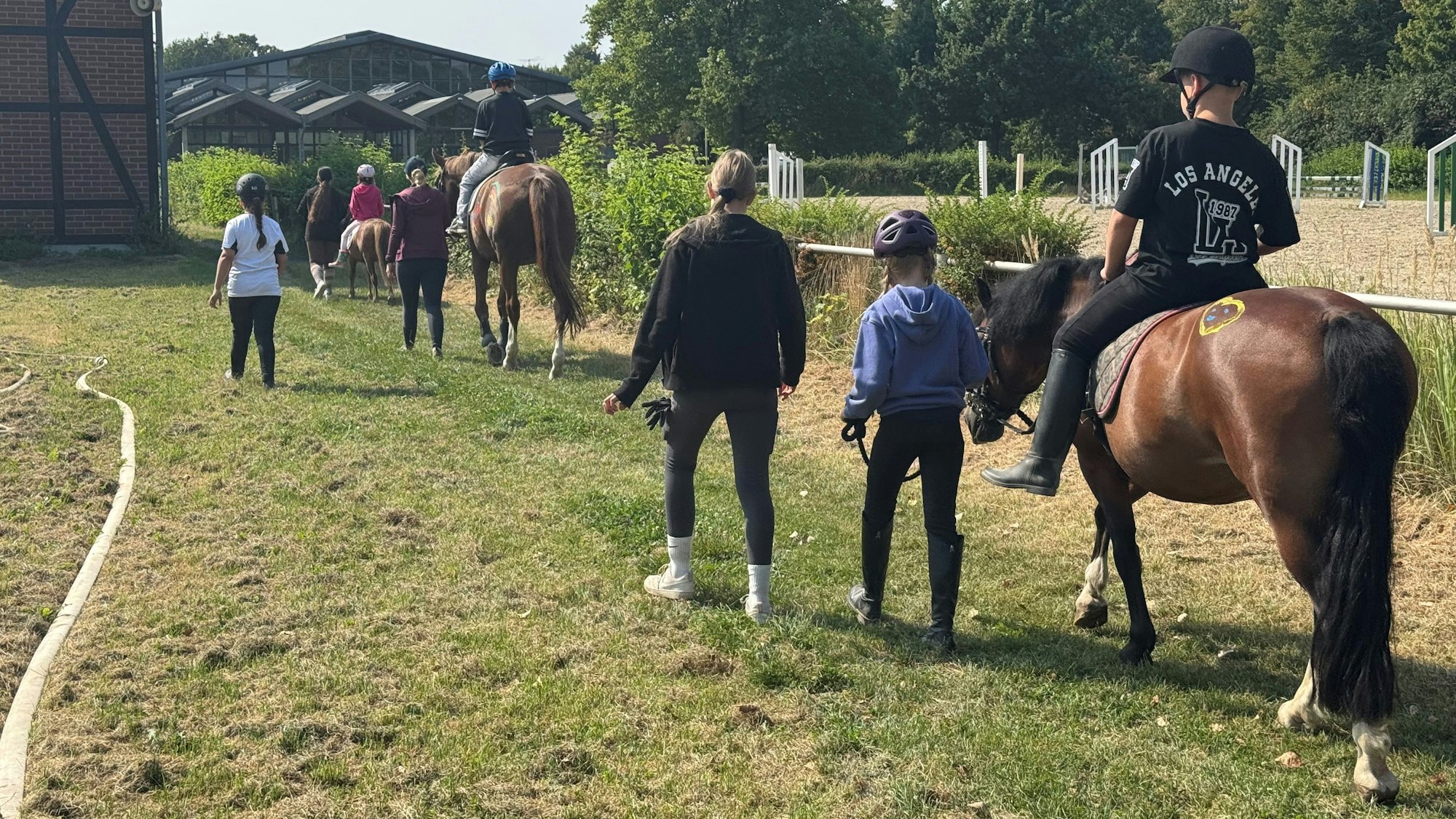Damit die Kinder in allen Altersstufen mitmachen können, nutzt der Verein unterschiedlich große Ponys und Pferde.