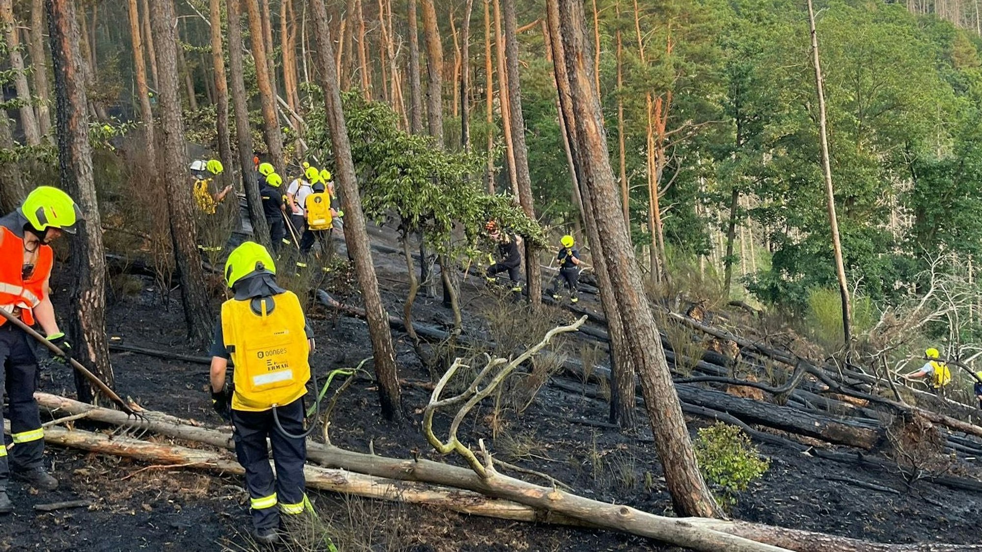 Die Feuerwehrleute müssen die Glut bekämpfen, die sich tief in den Waldboden gefressen hat.