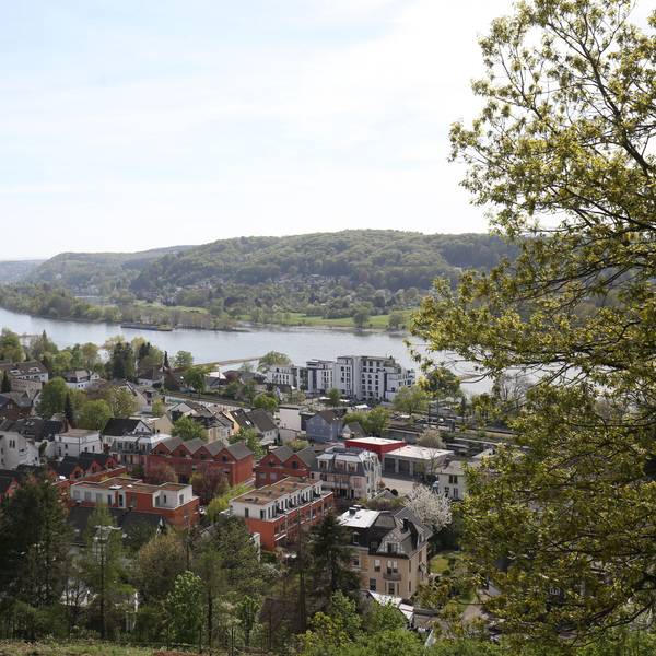 Ansicht eines Ortes mit dem Rhein im Hintergrund.