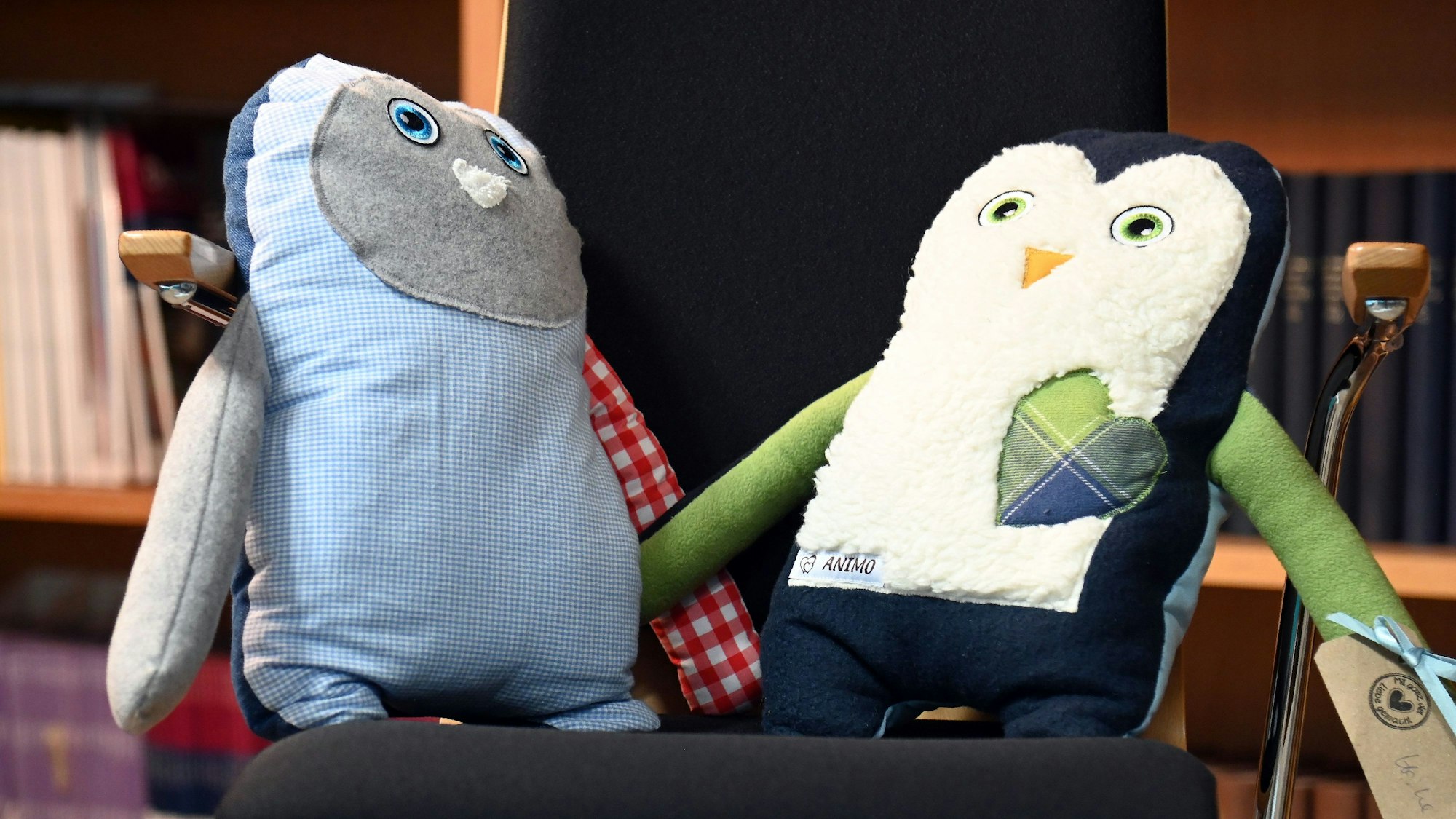 Das Bild zeigt zwei „Animo“-Kissen.