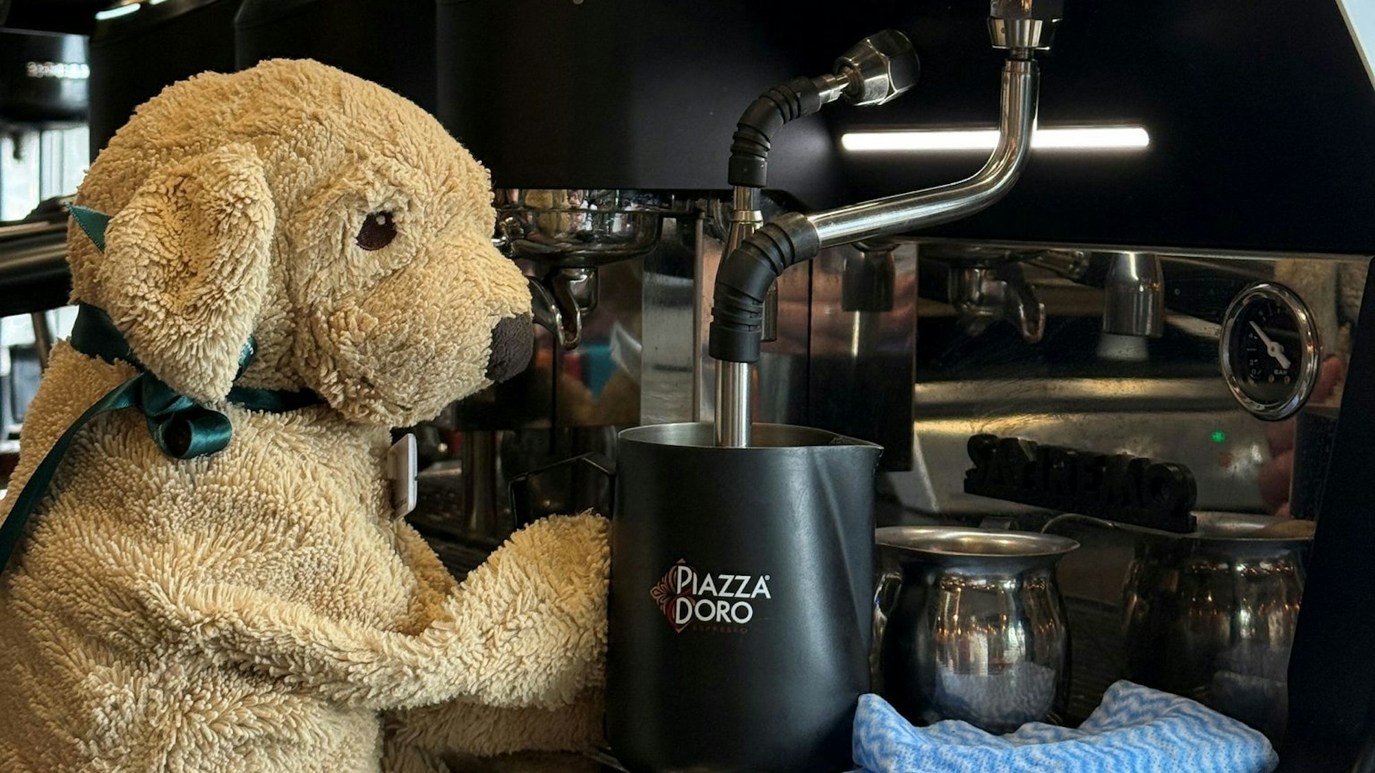Auch die Espresso-Maschine weiß Jack bereits zu bedienen, sagt die Belegschaft.