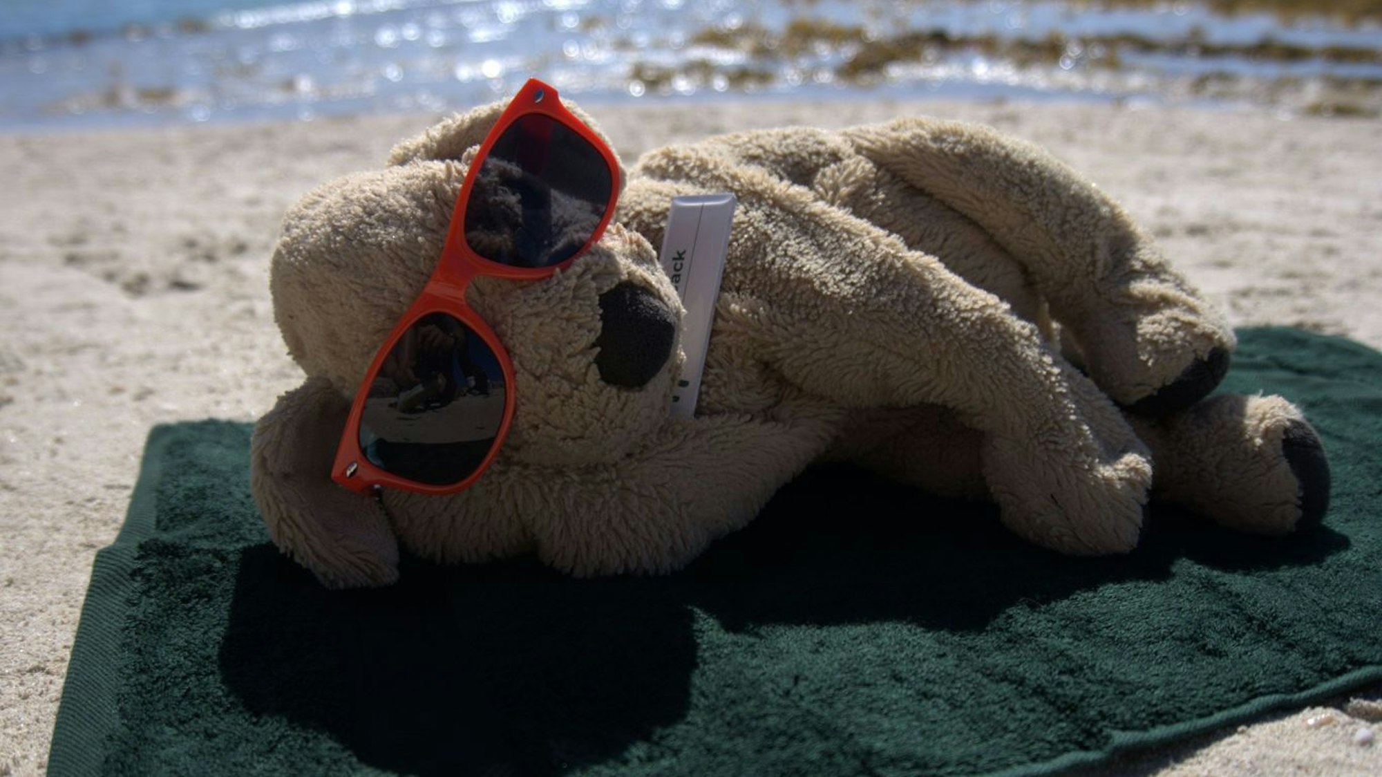 Auch am Strand durfte sich Jack schon sonnen.