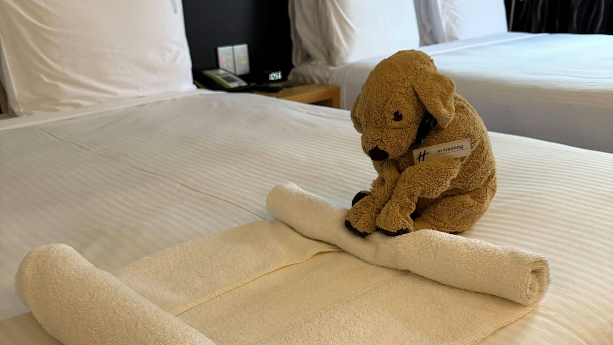 Der kleine Stoffhund Jack macht sich auch im Housekeeping nützlich, wie Hotelmitarbeiter in Posts zeigen.