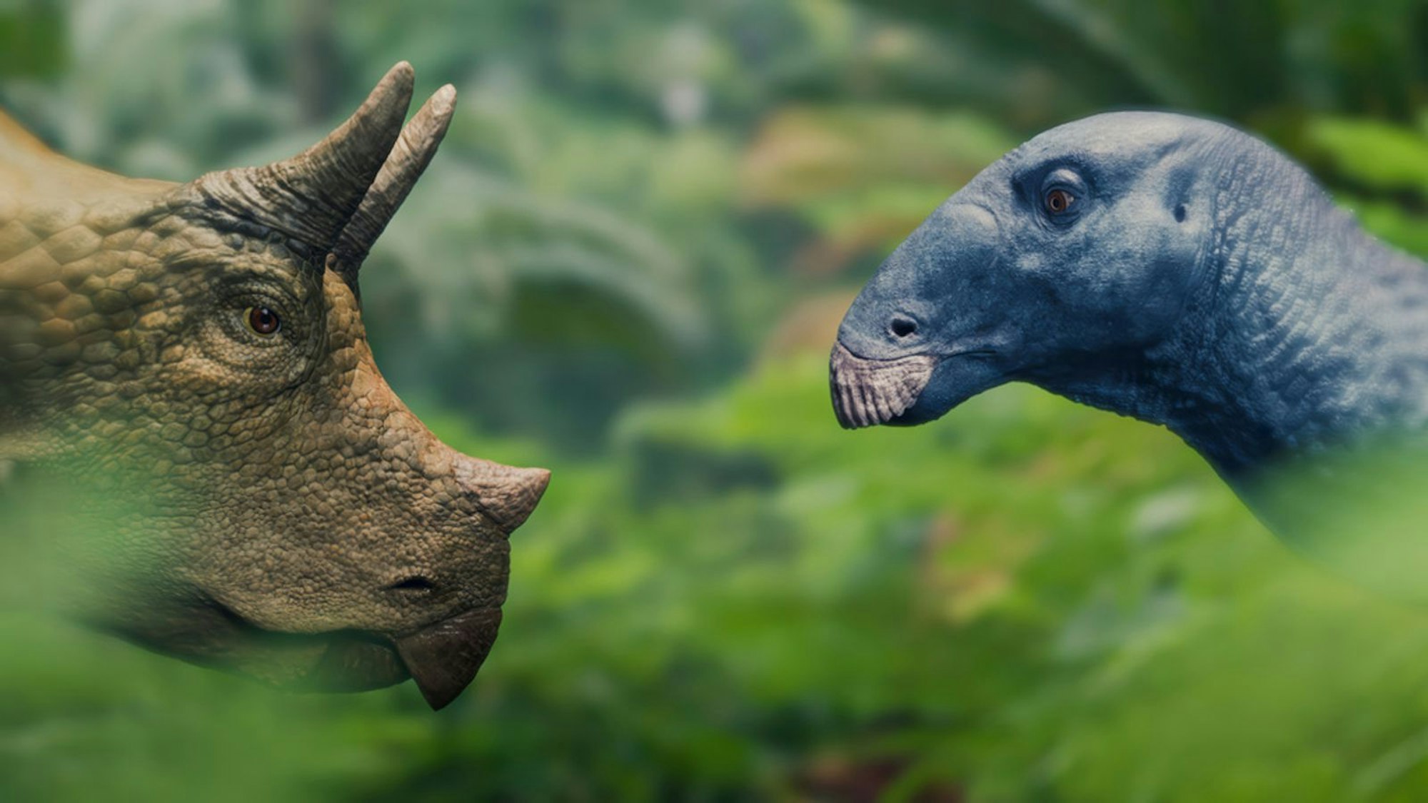 Auf ihrer Reise schließt die kleine Clover auch Freundschaften, wie zu diesem Edmontosaurus-Jungtier. (Bild: ZDF / BBC, Lola Post Production)