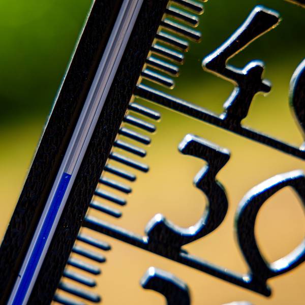Vor einem wolkenlosen blauen Himmel zeigt ein Außenthermometer in einem Garten bereits am Vormittag über 30 Grad Lufttemperatur an. A
