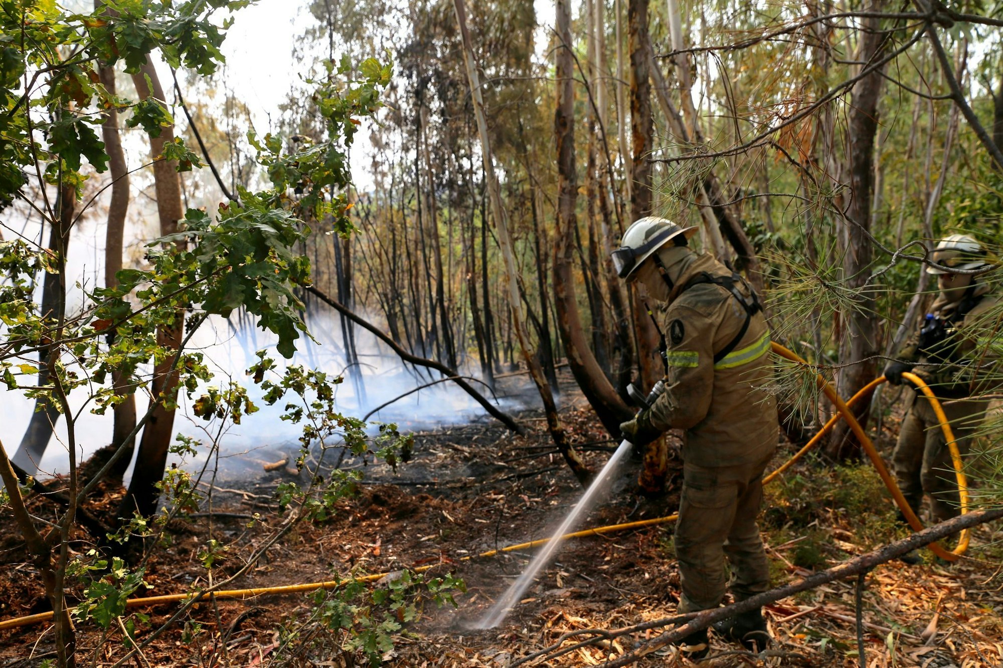 In Portugal gibt es eine leichte Entspannung bei den schweren Waldbränden. Noch aber sind rund 1.400 Feuerwehrleute im Einsatz.